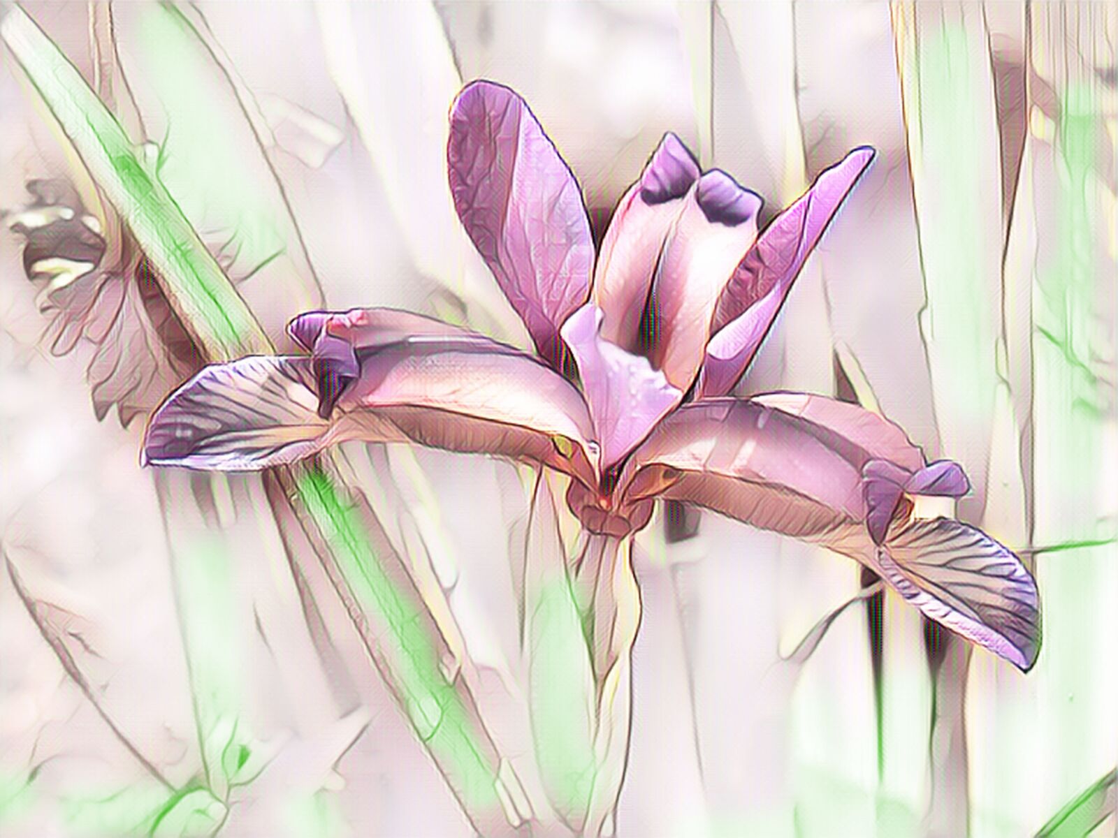 Canon PowerShot G15 sample photo. Marsh iris, iris, digital photography