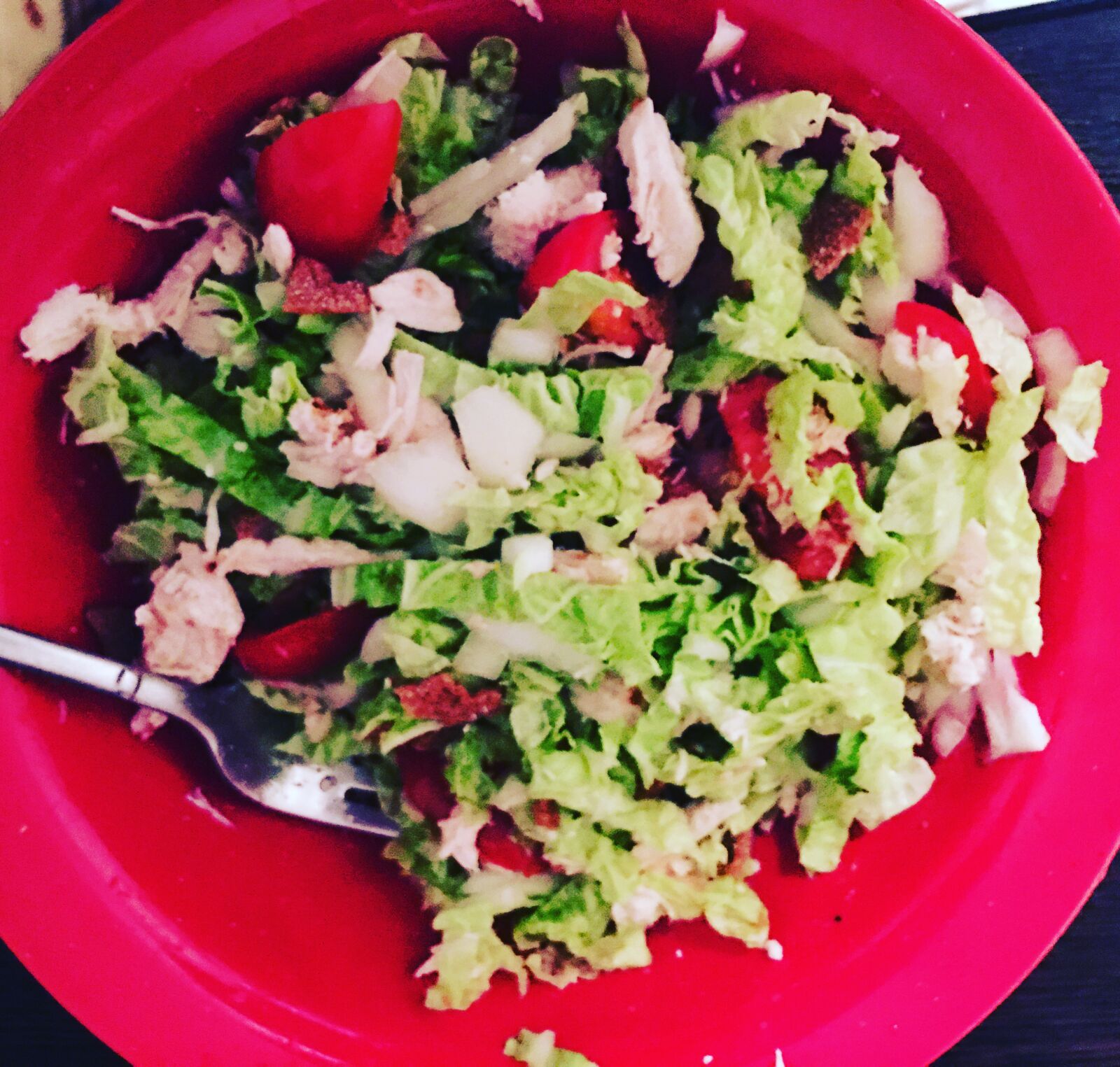 iPhone 6s Plus back camera 4.15mm f/2.2 sample photo. Salad, red plate, diet photography
