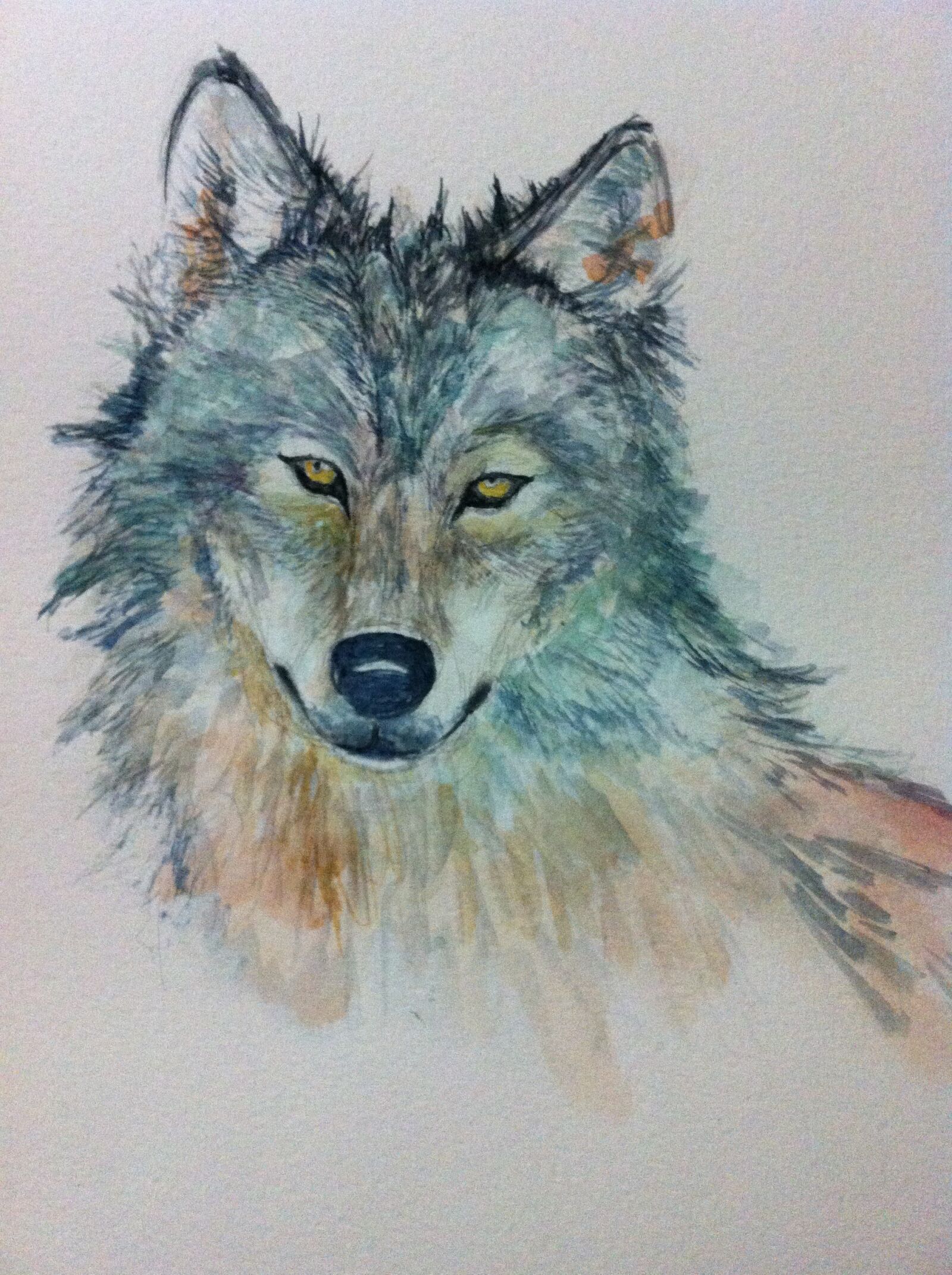 Apple iPhone 4 sample photo. Blue, wolf, kadhima photography