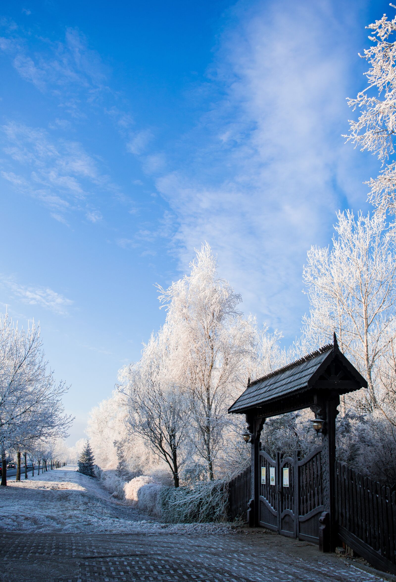 Nikon D3200 sample photo. Arboretum, winter, gate photography