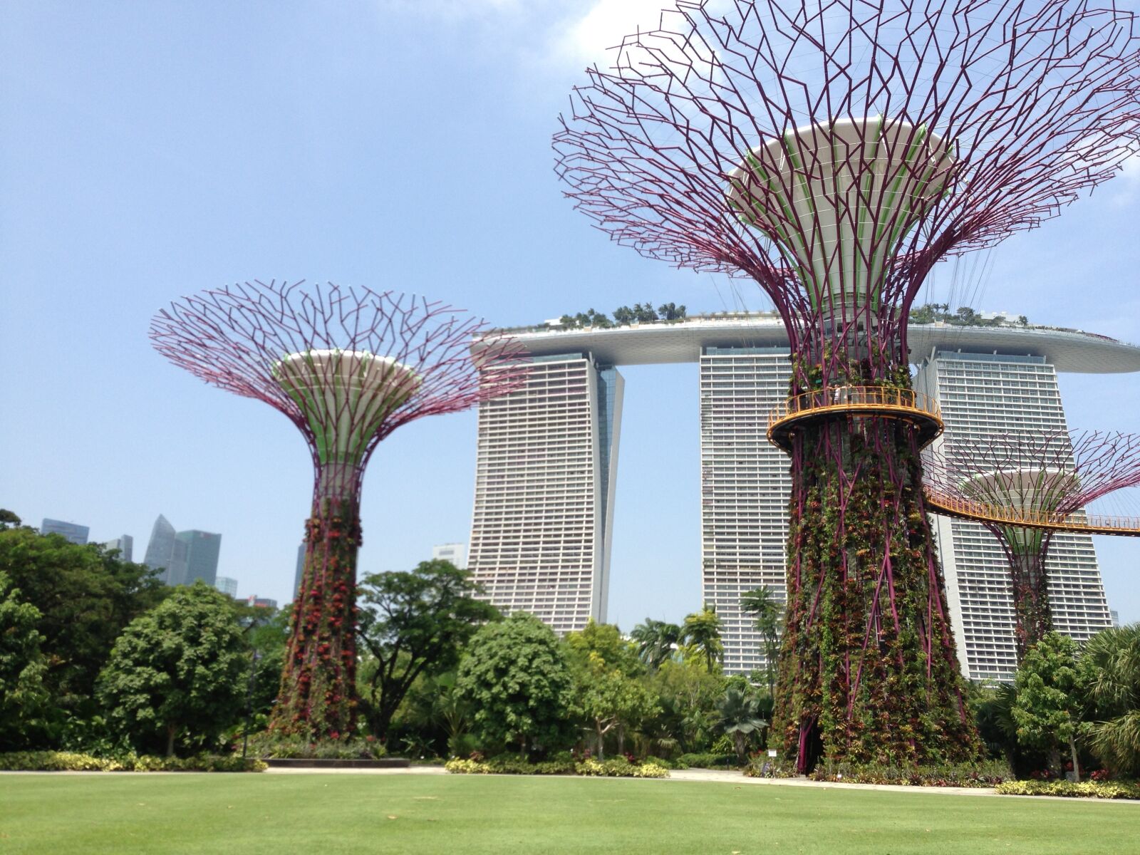Apple iPhone 5 sample photo. Singapore, marina, park photography