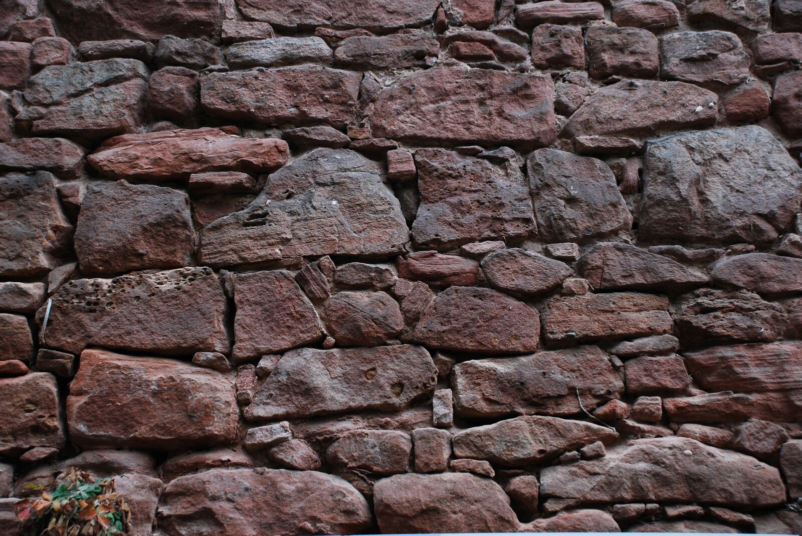 Nikon D80 sample photo. Stone wall, texture, wall photography
