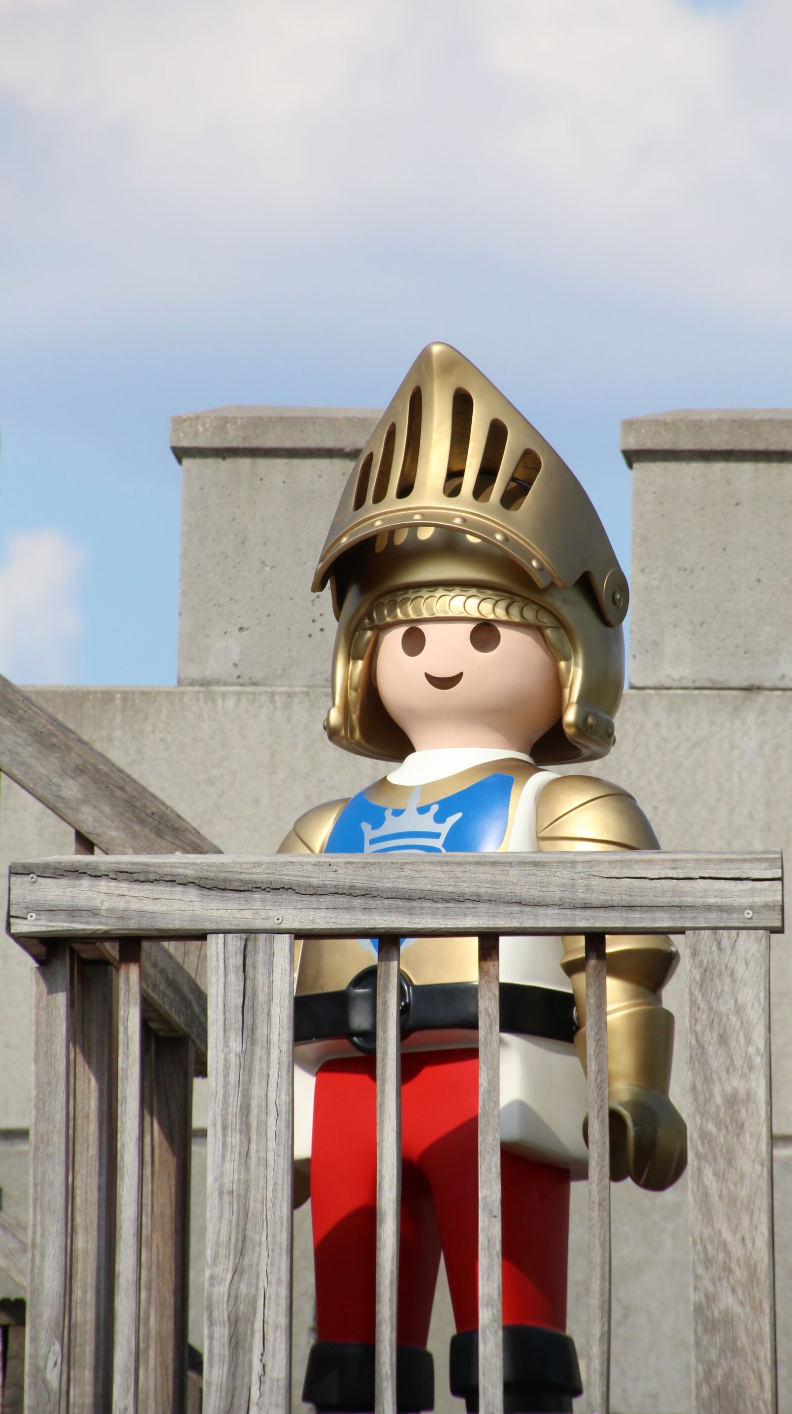 Canon EOS 1200D (EOS Rebel T5 / EOS Kiss X70 / EOS Hi) sample photo. Playmobil, knight, childhood photography