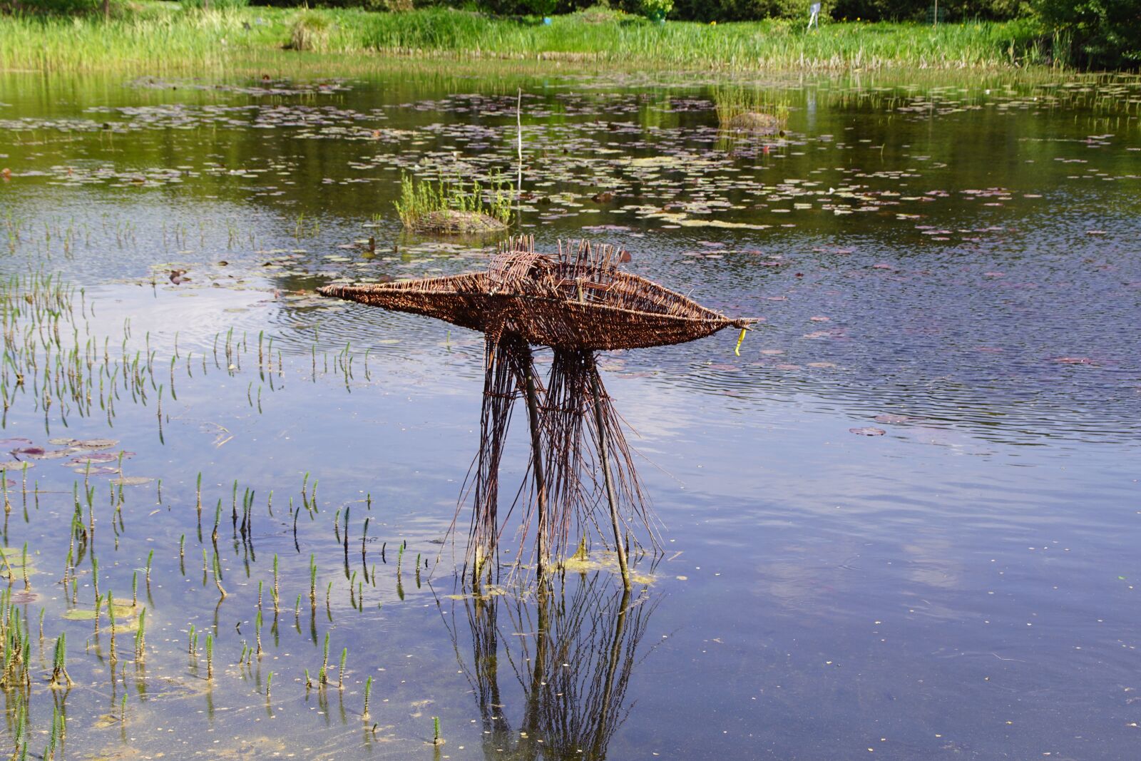 Sony SLT-A68 + Sony DT 18-200mm F3.5-6.3 sample photo. Lake, pond, wicker photography