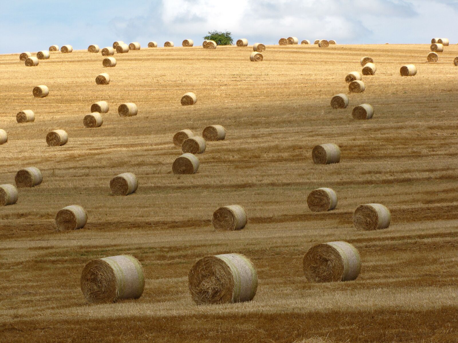 Canon PowerShot SX10 IS sample photo. Straw bale, meadow, summer photography