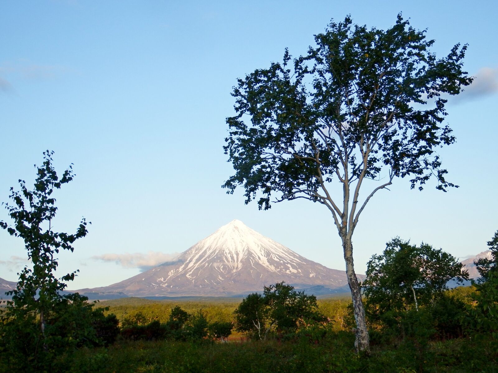 Fujifilm FinePix S1 sample photo. Volcano, forest, autumn photography