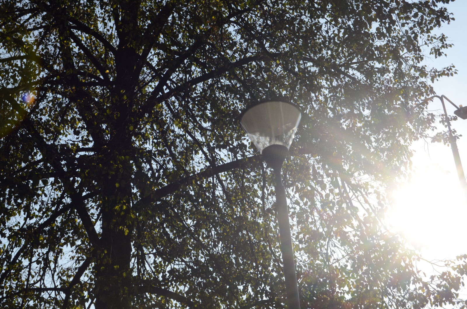 Nikon D5100 sample photo