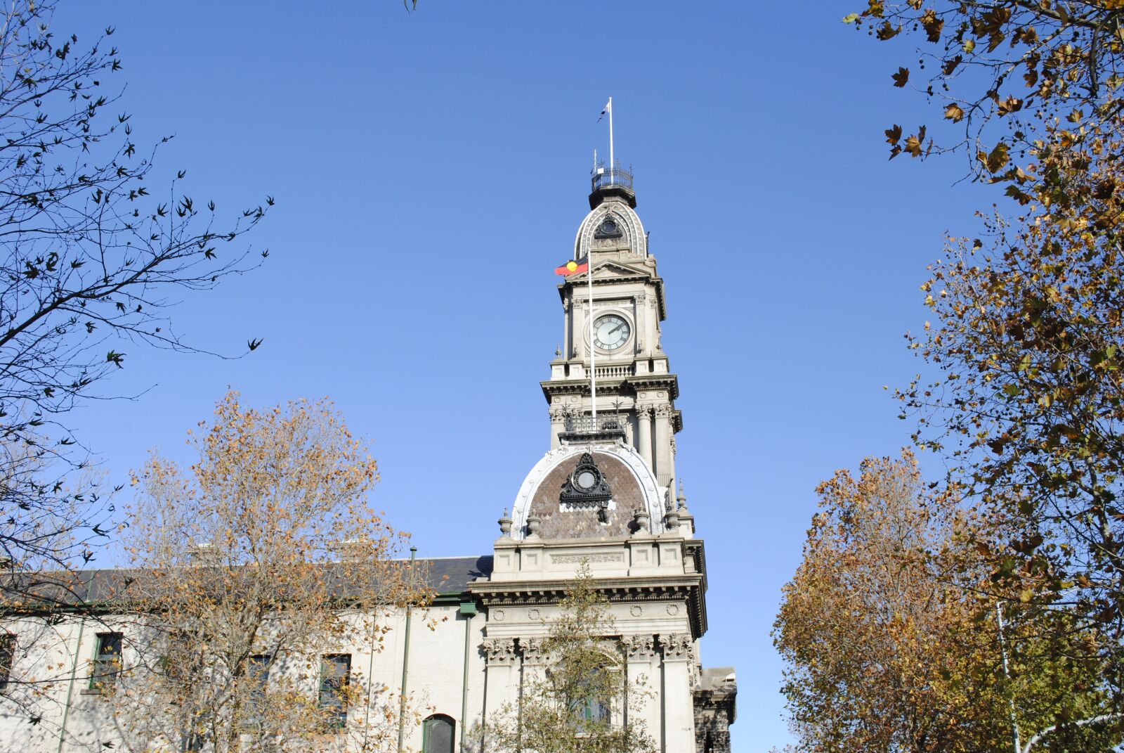 Nikon D3000 sample photo. Trees, melbourne, tower photography