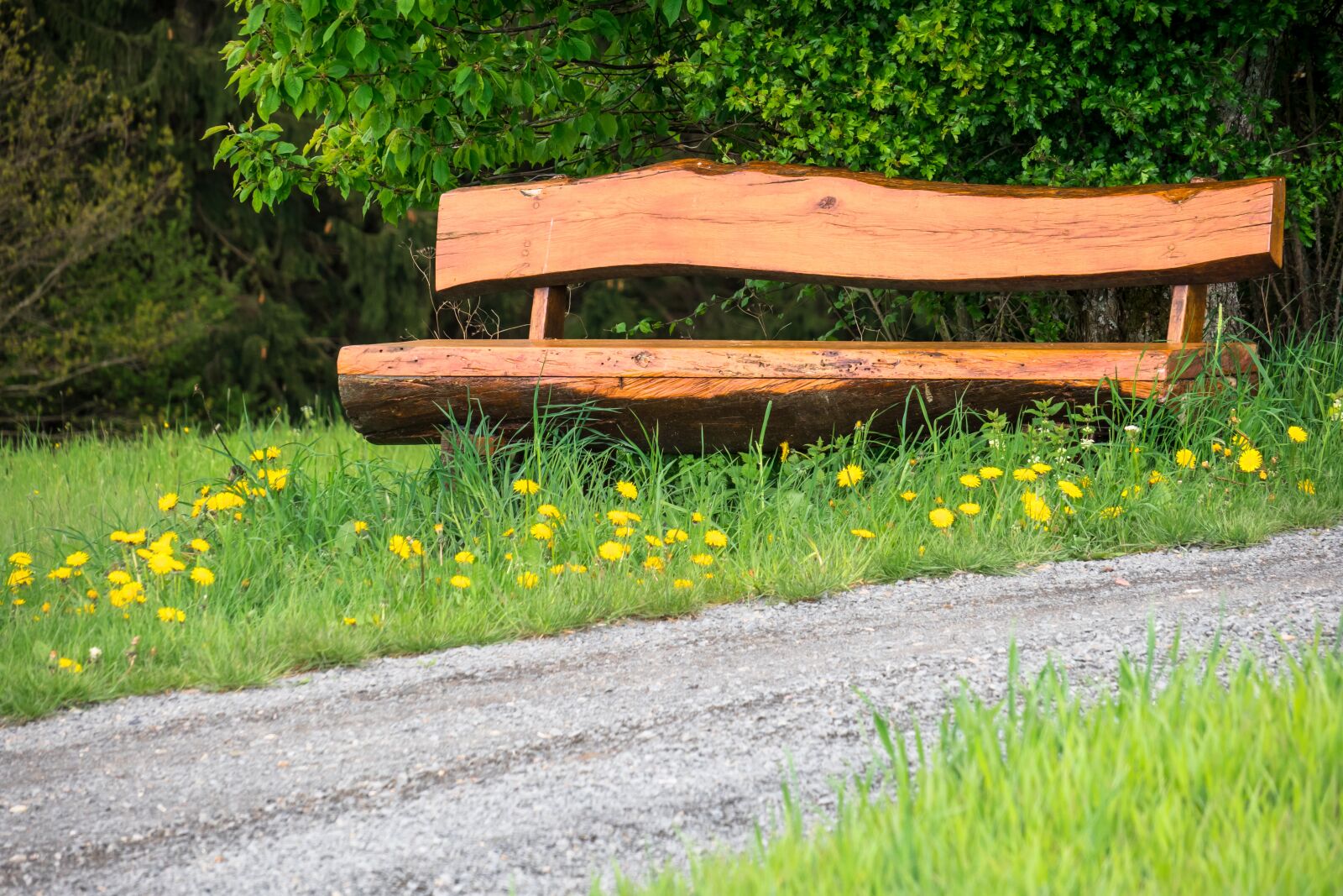 Canon PowerShot G3 X sample photo. Bank, resting place, rest photography