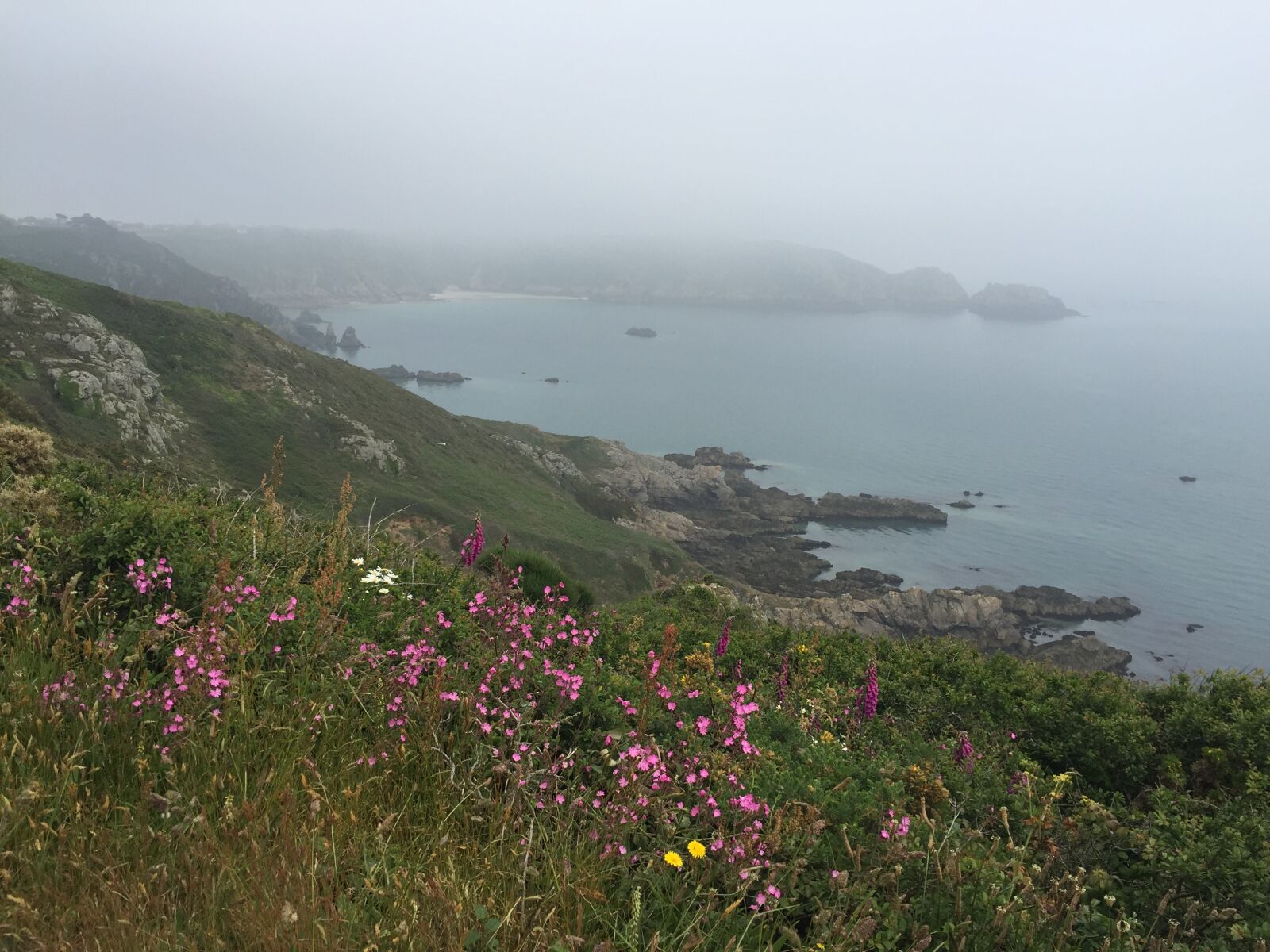 iPhone 6 back camera 4.15mm f/2.2 sample photo. Beautiful, flowers, channel, islands photography