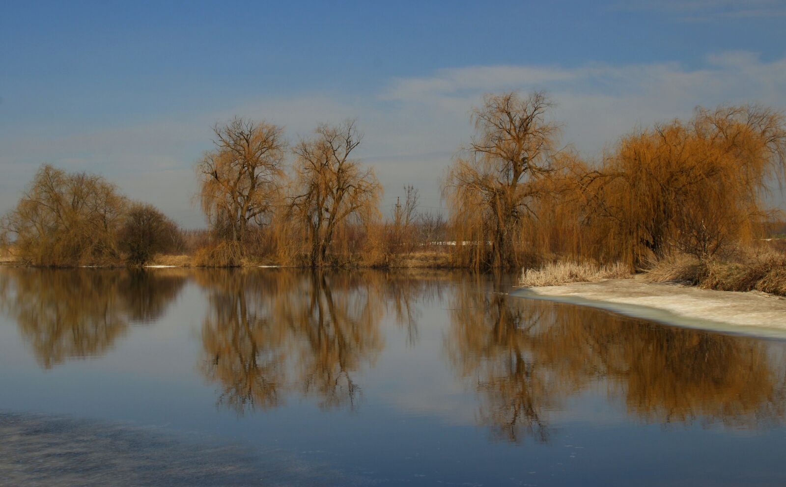 Canon EOS 700D (EOS Rebel T5i / EOS Kiss X7i) sample photo. Willow, reflection, water photography