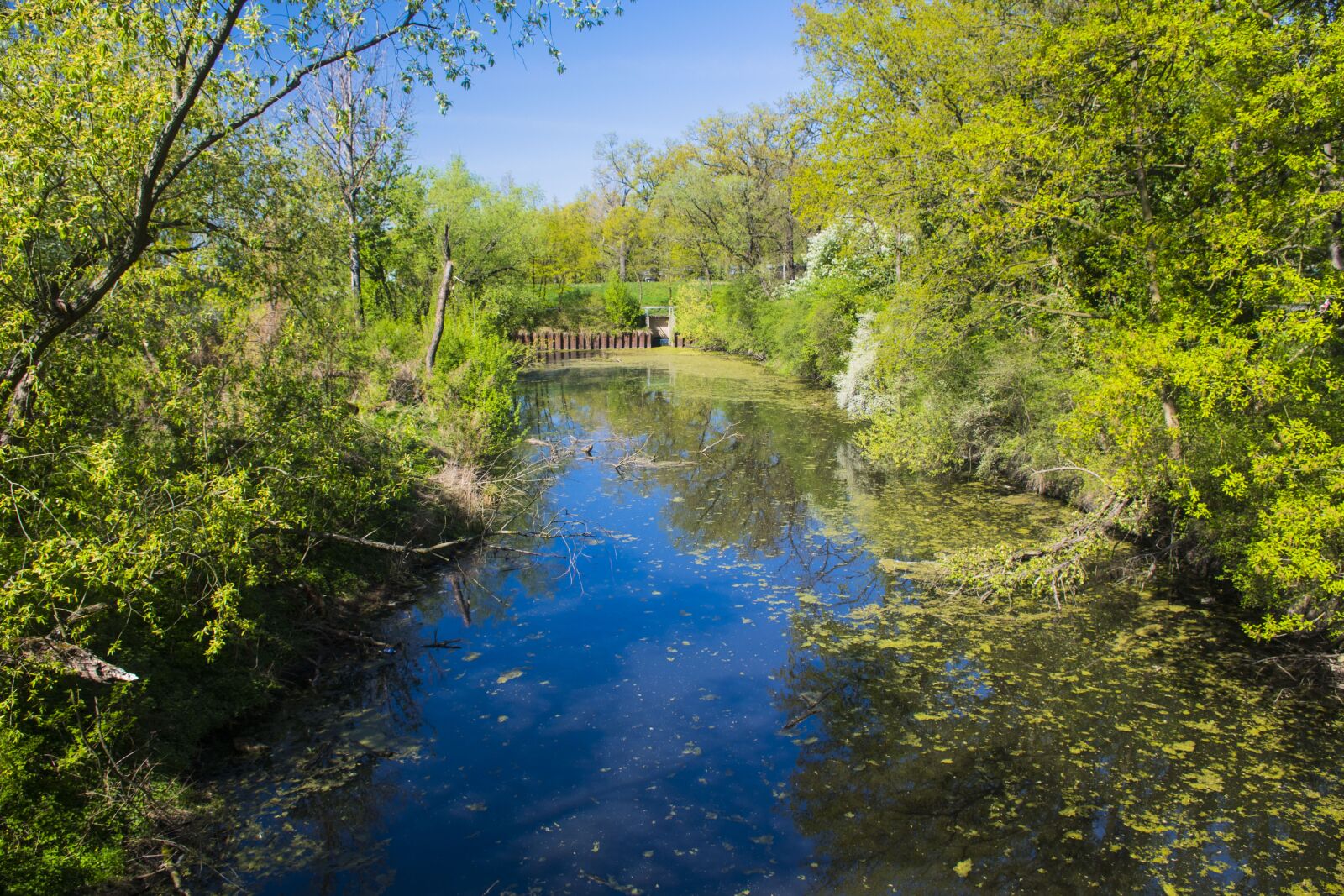Nikon D7500 sample photo. Channel, opole, water photography