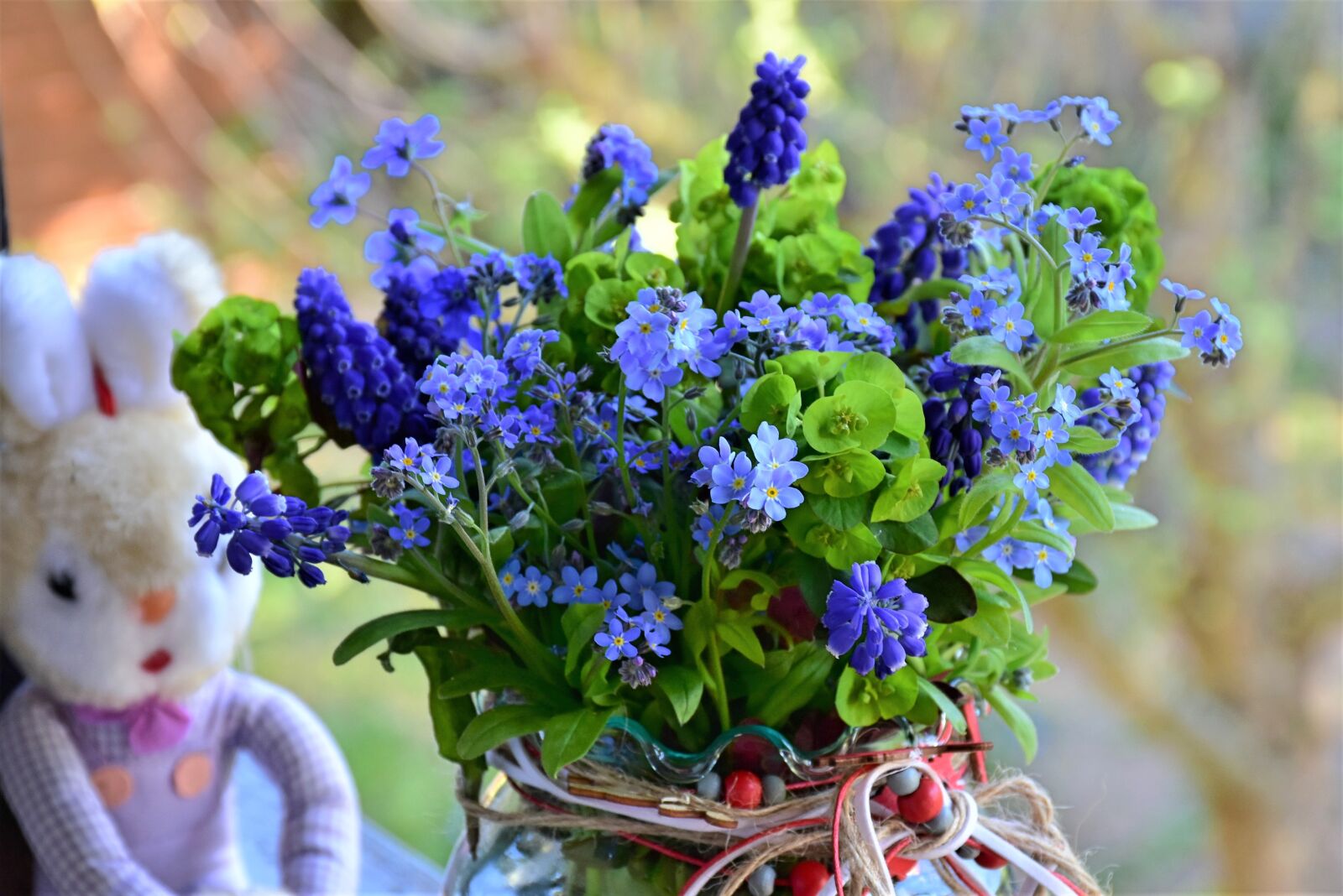 Nikon D7200 sample photo. Spring, forget me not photography