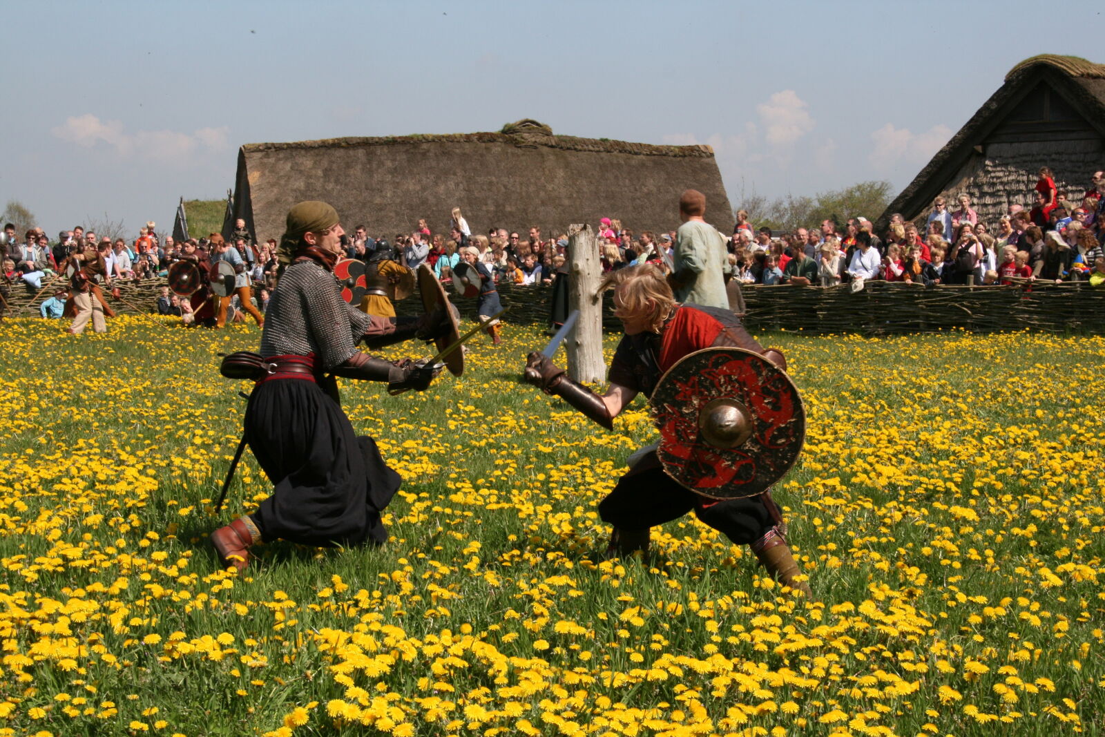 Sigma 18-200mm f/3.5-6.3 DC OS sample photo. Vikings photography
