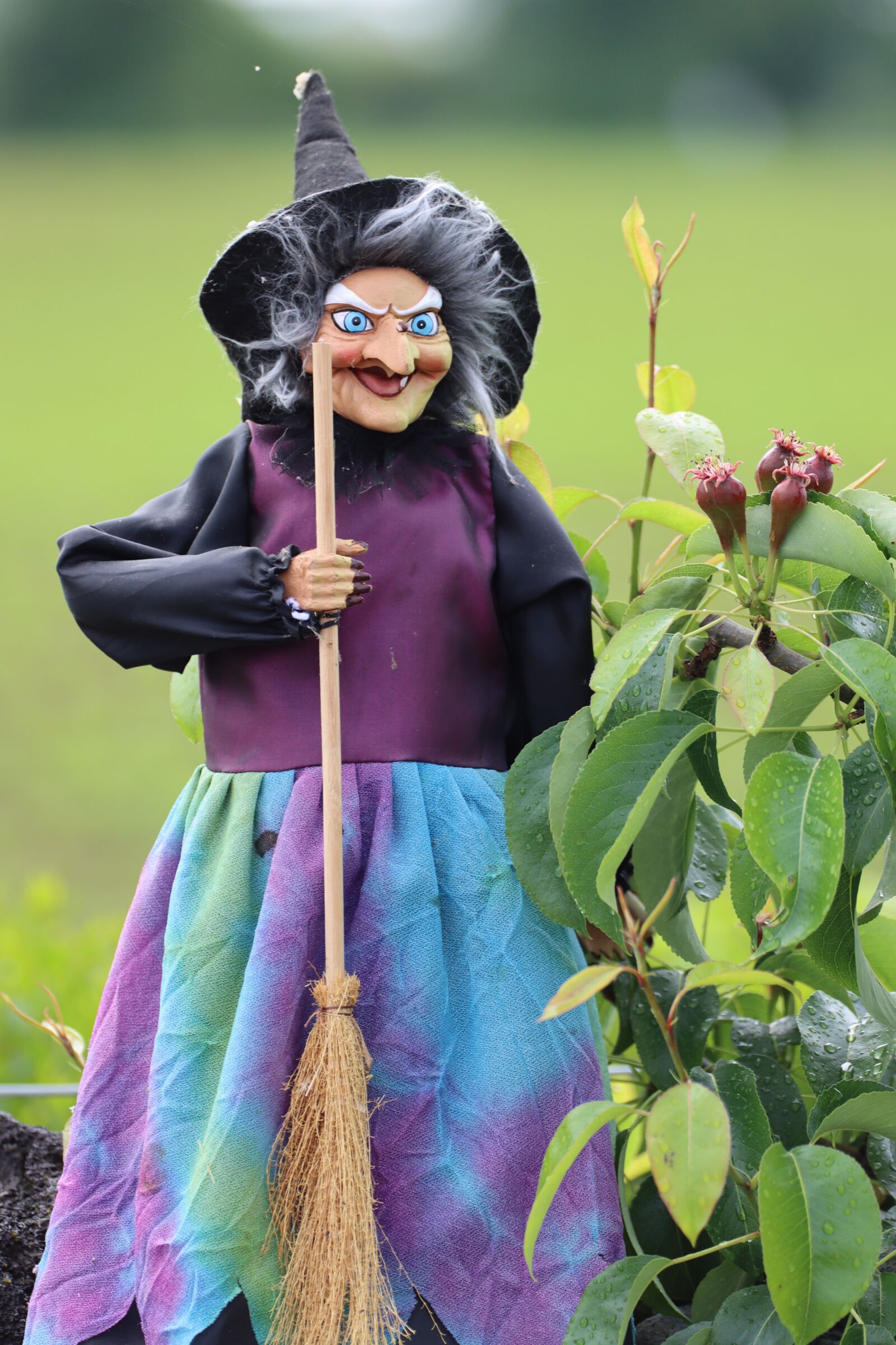 Canon EOS 90D sample photo. The witch, fee, woman photography