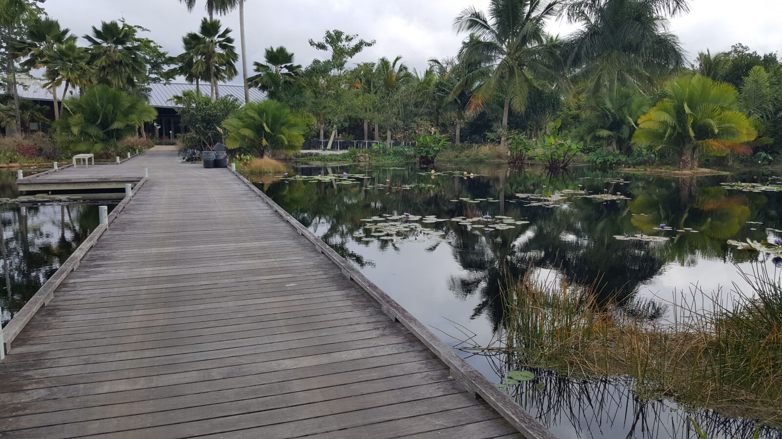 Samsung GALAXY S6 edge sample photo. Botanical, gardens photography
