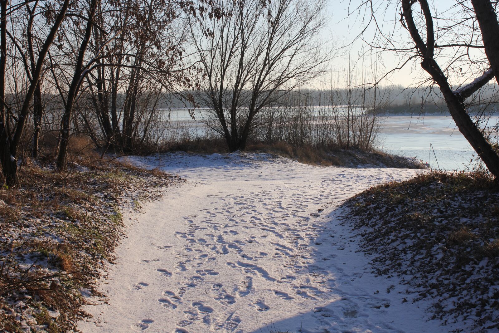 Canon EOS 550D (EOS Rebel T2i / EOS Kiss X4) sample photo. Path, snow, tracks photography