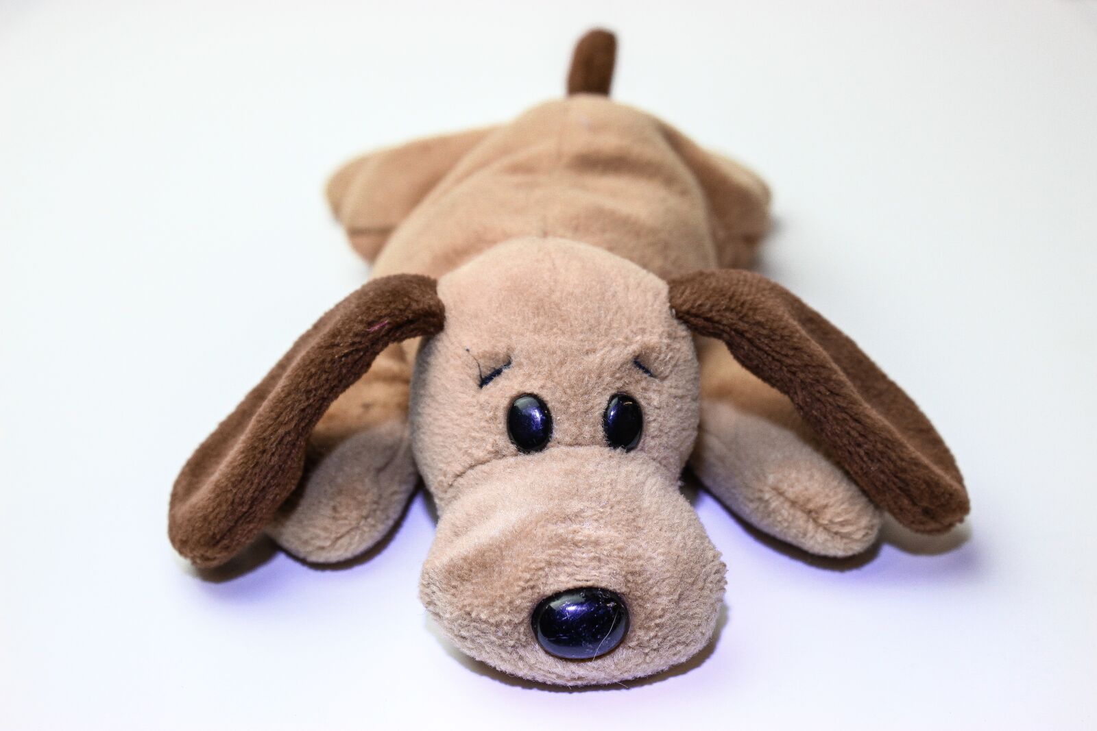 Canon EOS 600D (Rebel EOS T3i / EOS Kiss X5) sample photo. Beanie baby, plush, toy photography