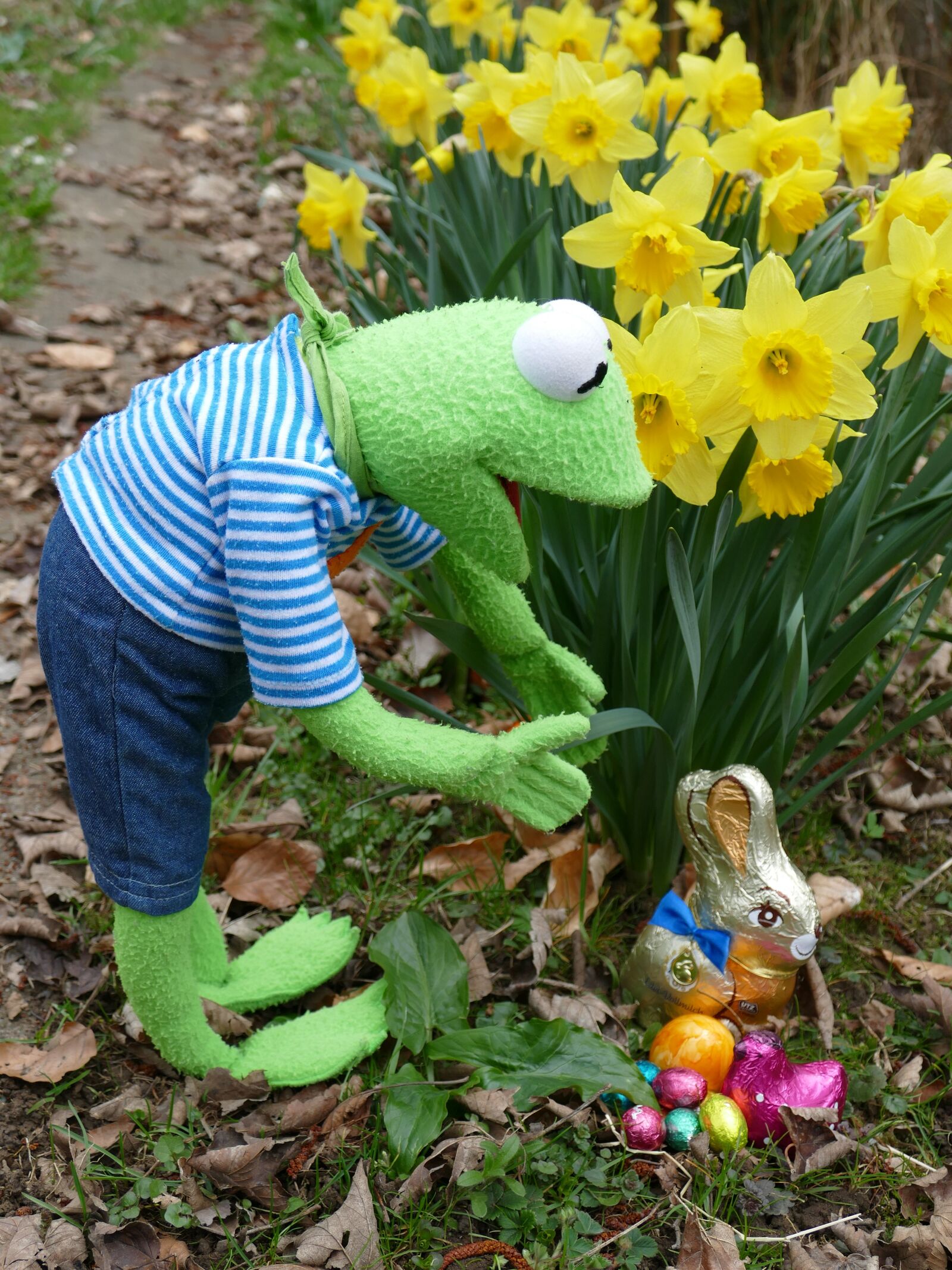Panasonic Lumix DMC-FZ1000 sample photo. Easter, search, easter eggs photography