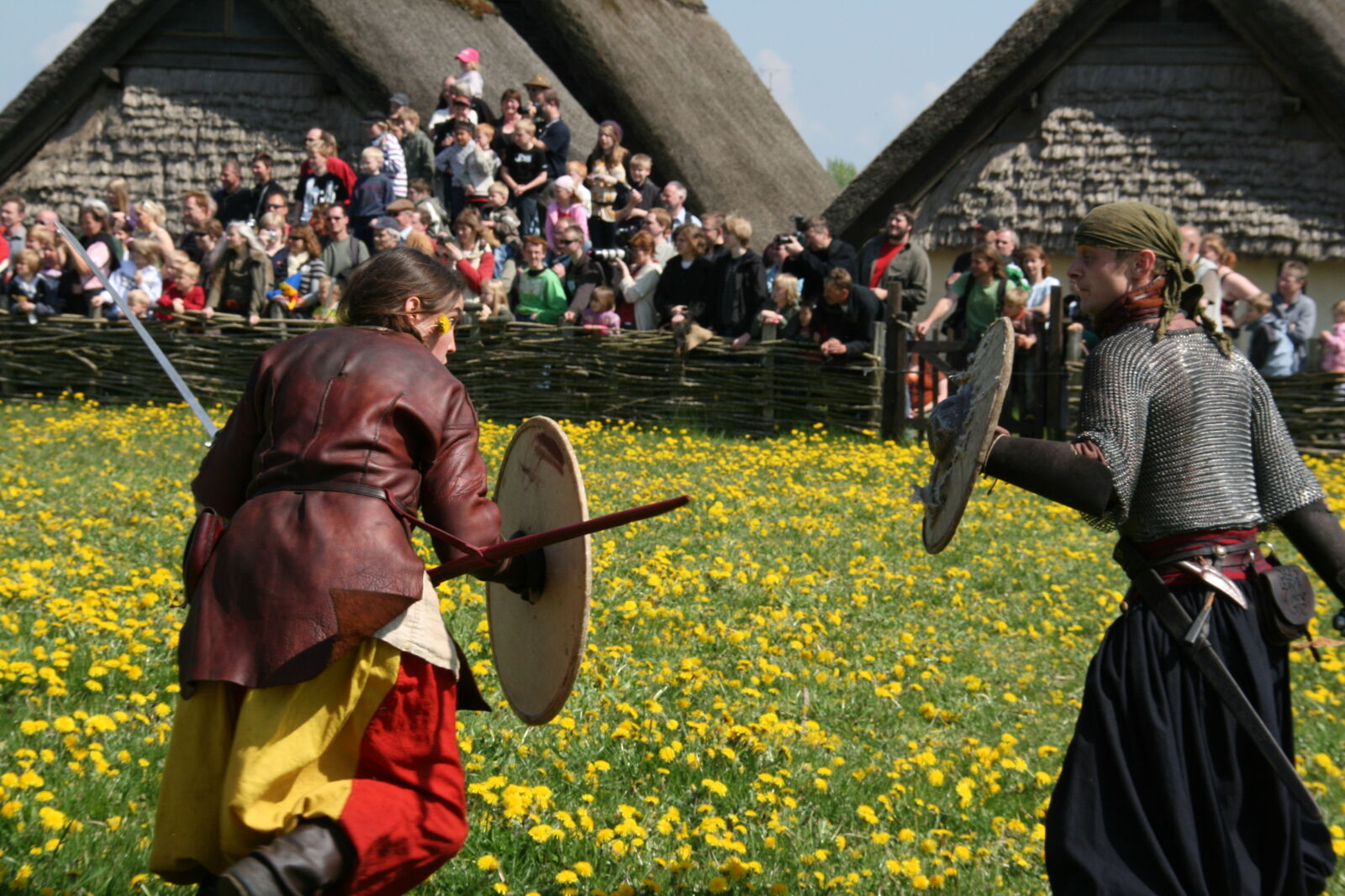 Sigma 18-200mm f/3.5-6.3 DC OS sample photo. Vikings photography