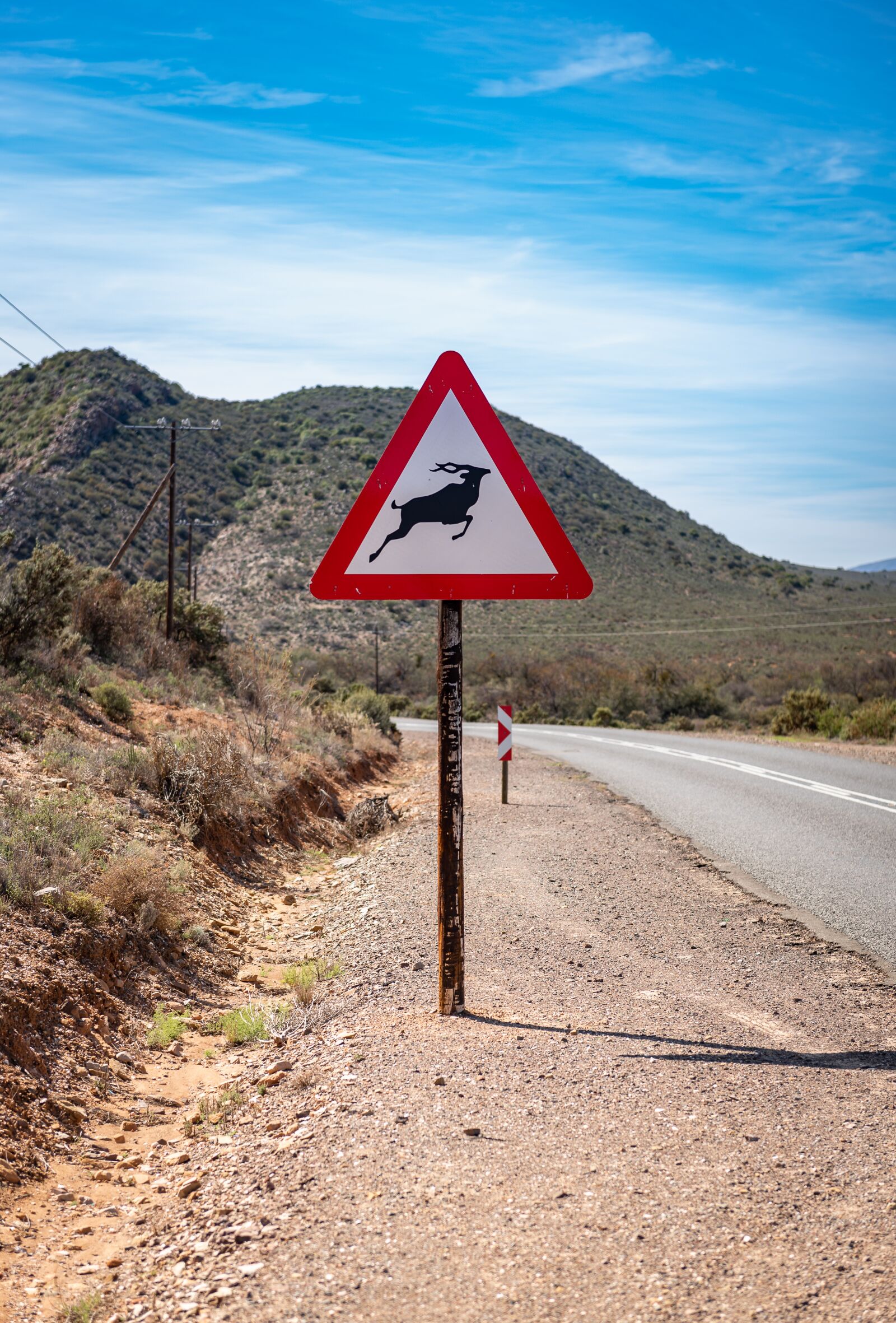 Nikon D750 sample photo. South africa, route62, road photography
