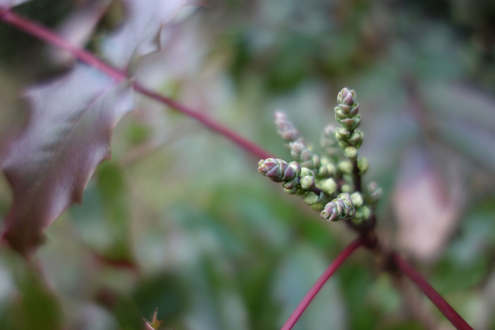 Sony Cyber-shot DSC-RX100 sample photo