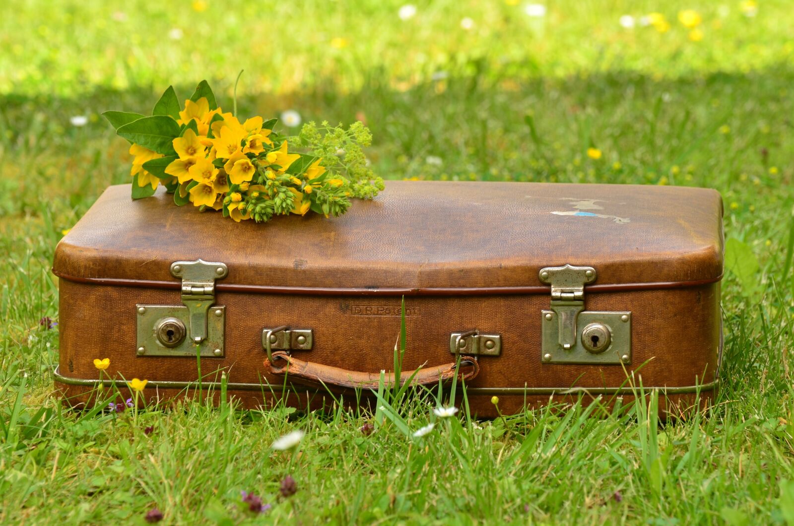 Nikon D5100 sample photo. Luggage, leather suitcase, old photography