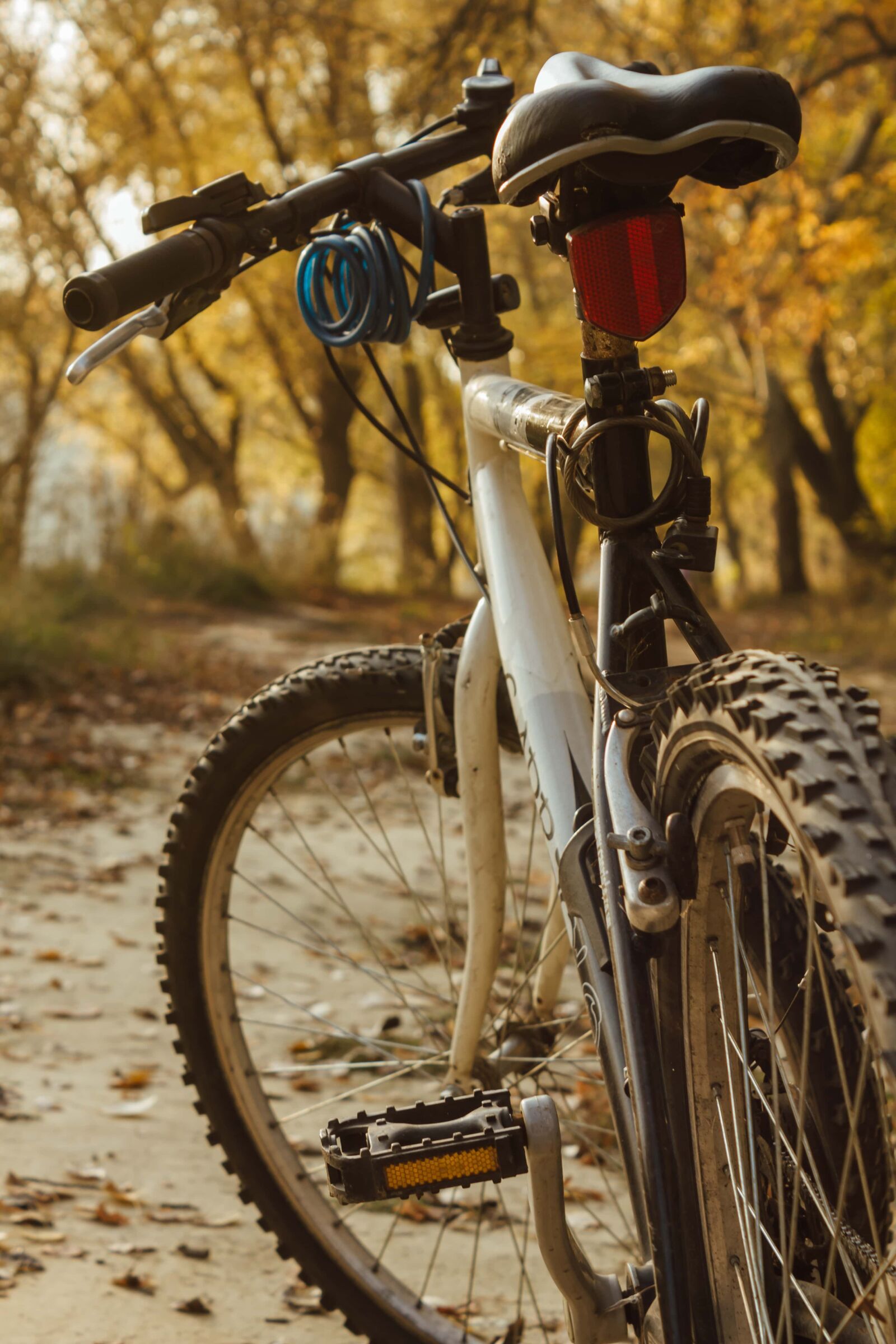 Canon EF-S 18-55mm F3.5-5.6 IS sample photo. Mountain bike, landscape, sport photography
