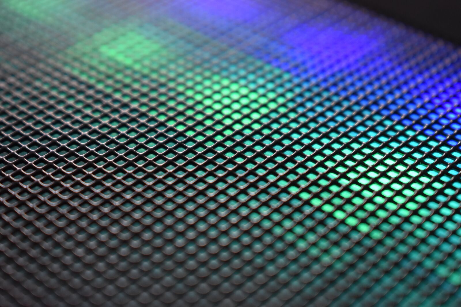 Nikon D3500 sample photo. Texture, pattern, cell photography
