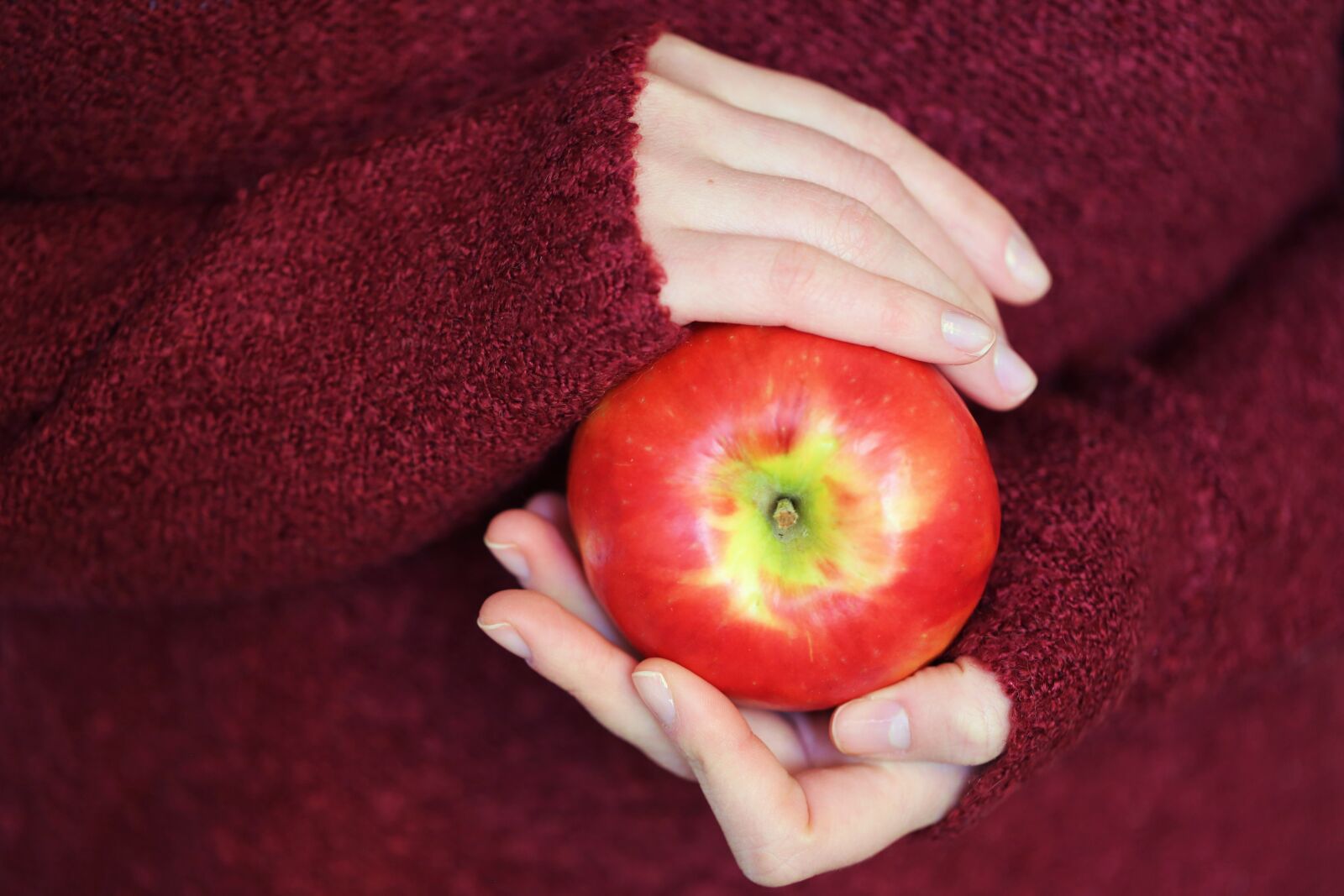 Canon EF 100mm F2.8L Macro IS USM sample photo. Apple, autumn, hands photography