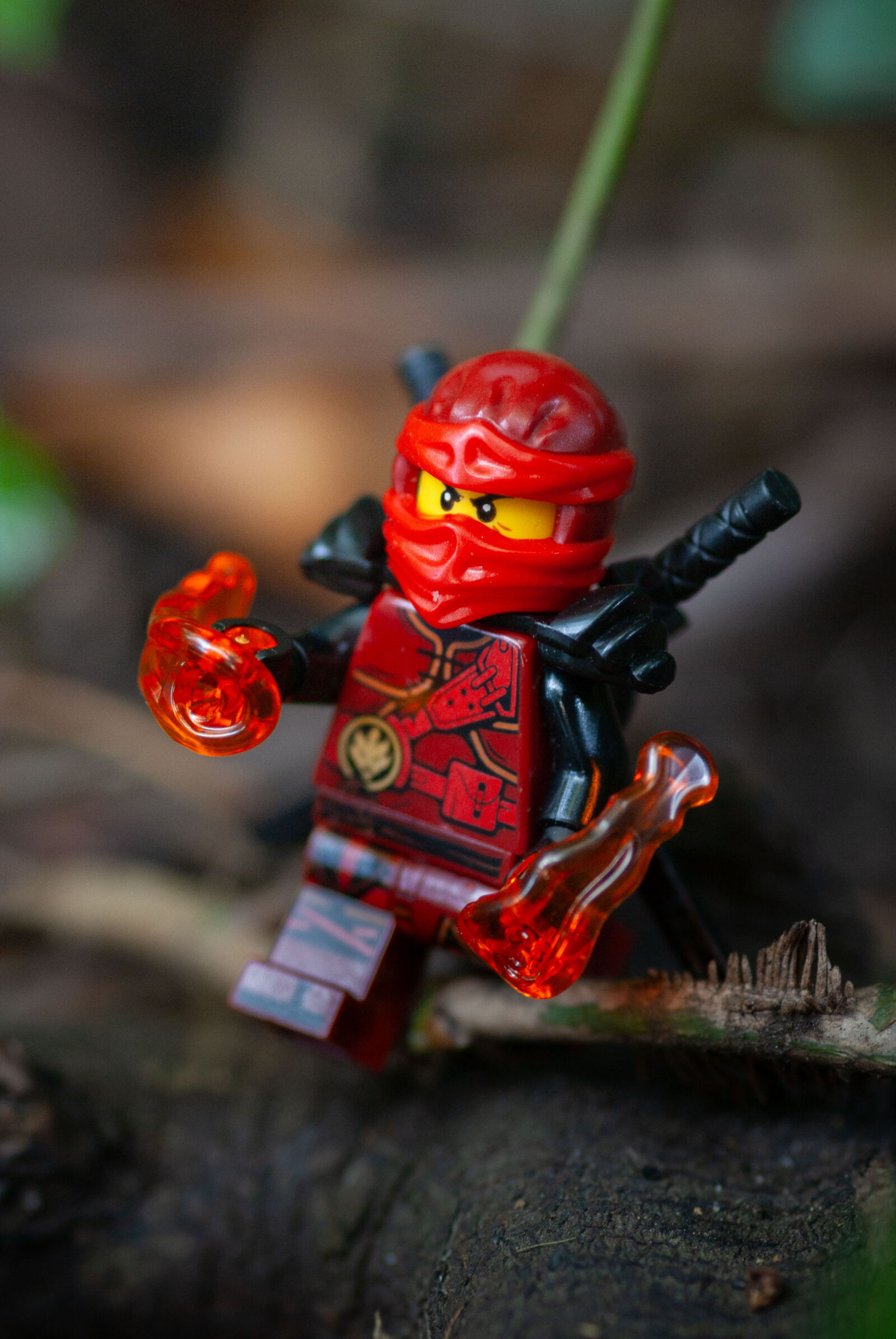 Sigma sample photo