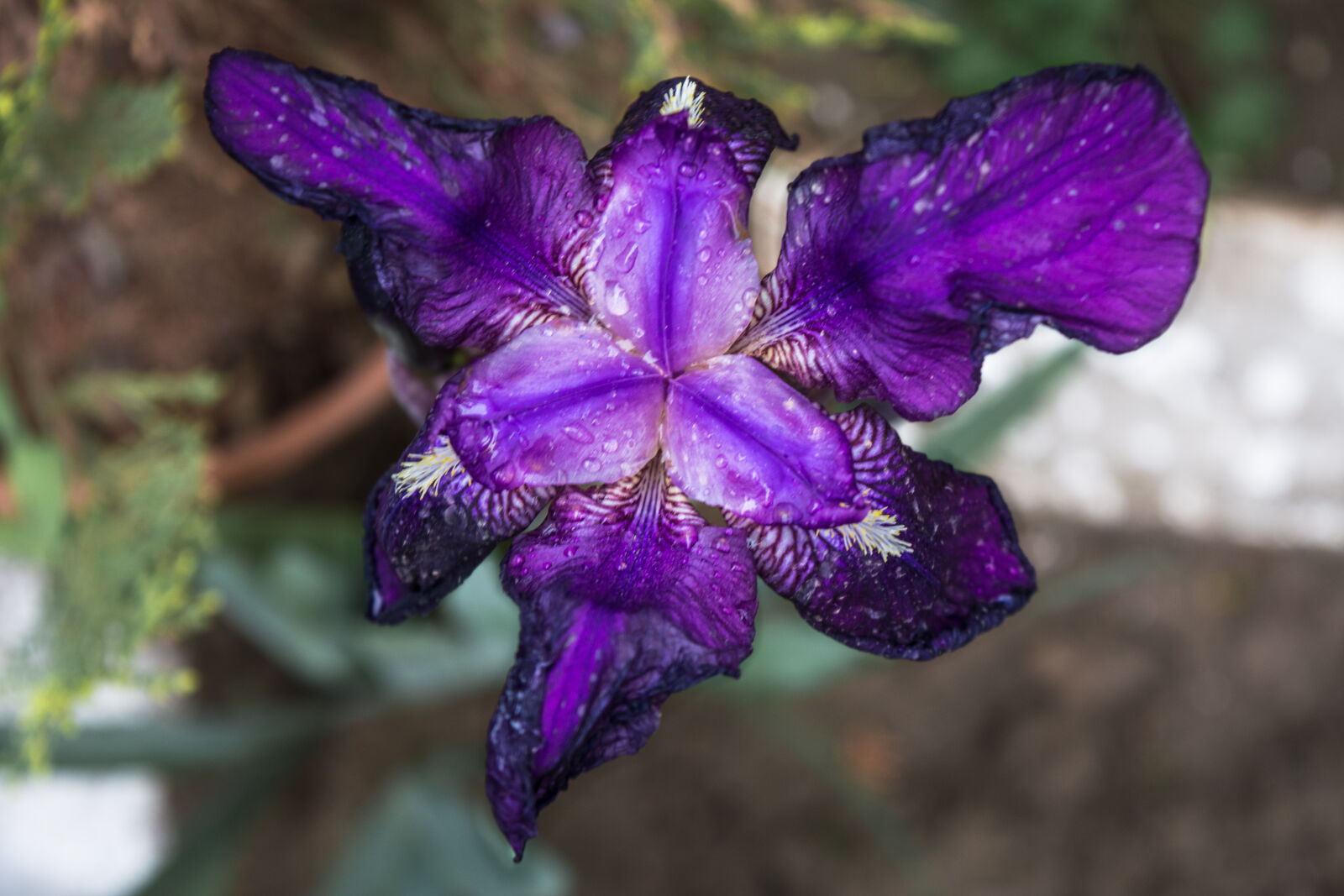 Nikon D5200 sample photo