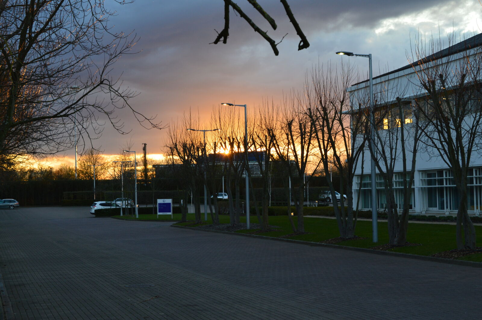 Nikon D3200 sample photo