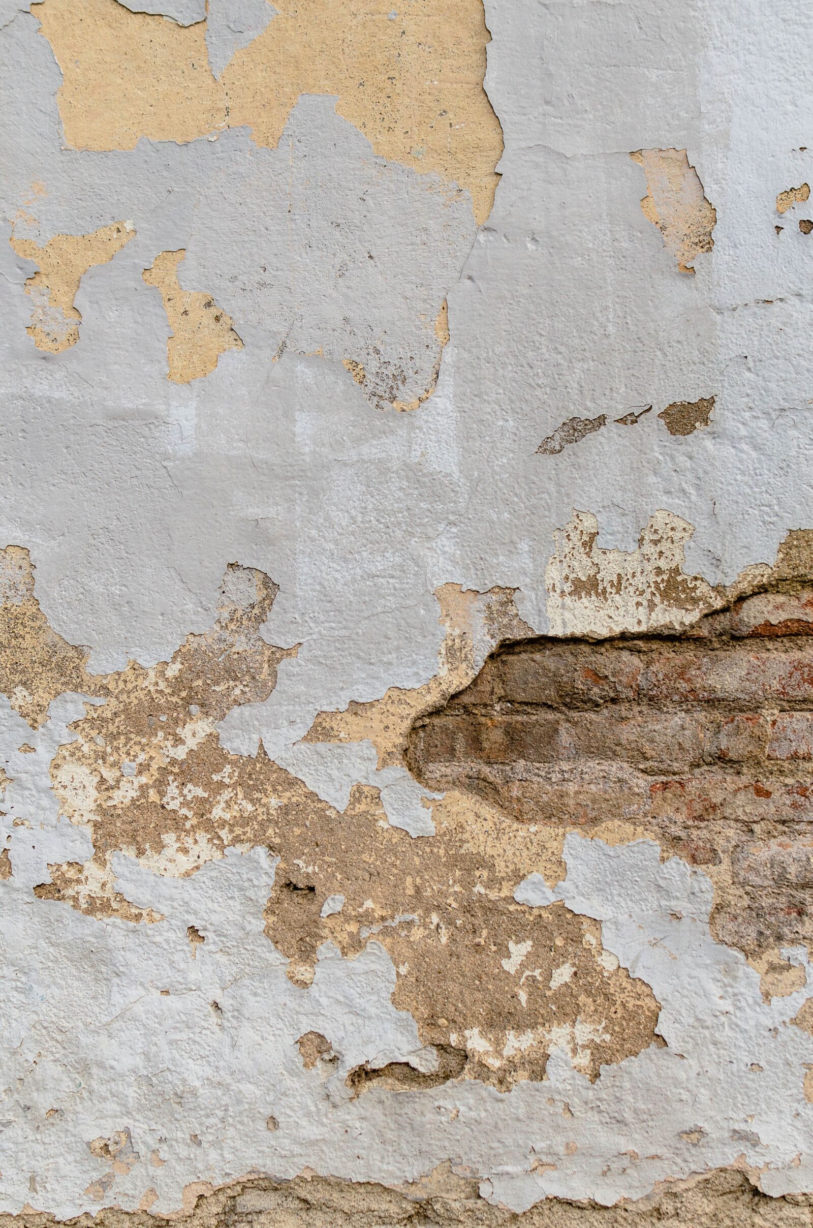 Nikon D5100 sample photo. Brick, wall, texture photography