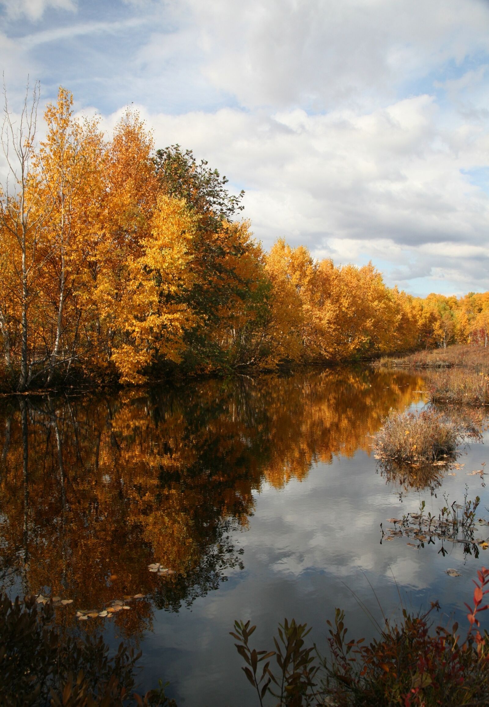 Canon EOS 5D sample photo. Autumn, forest, lake photography