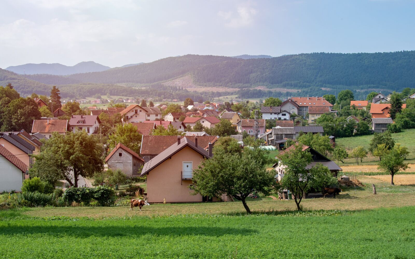 Nikon D500 sample photo. Village, home, town photography
