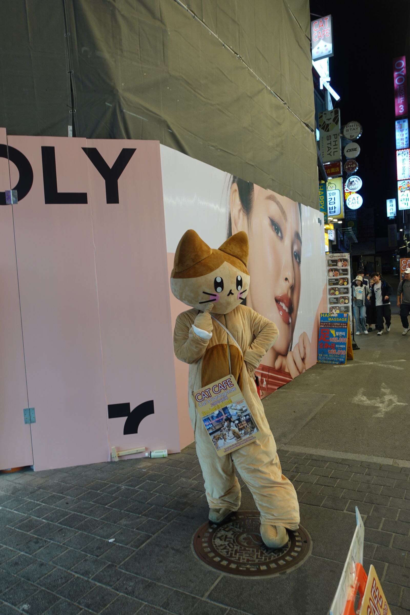 Sony ZV-1 sample photo