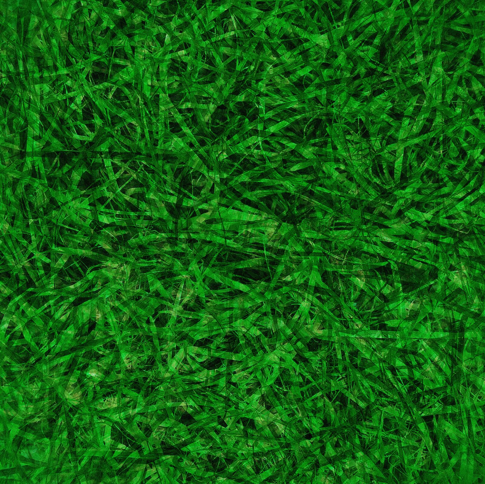Panasonic Lumix DMC-FZ1000 sample photo. Easter grass, background, green photography