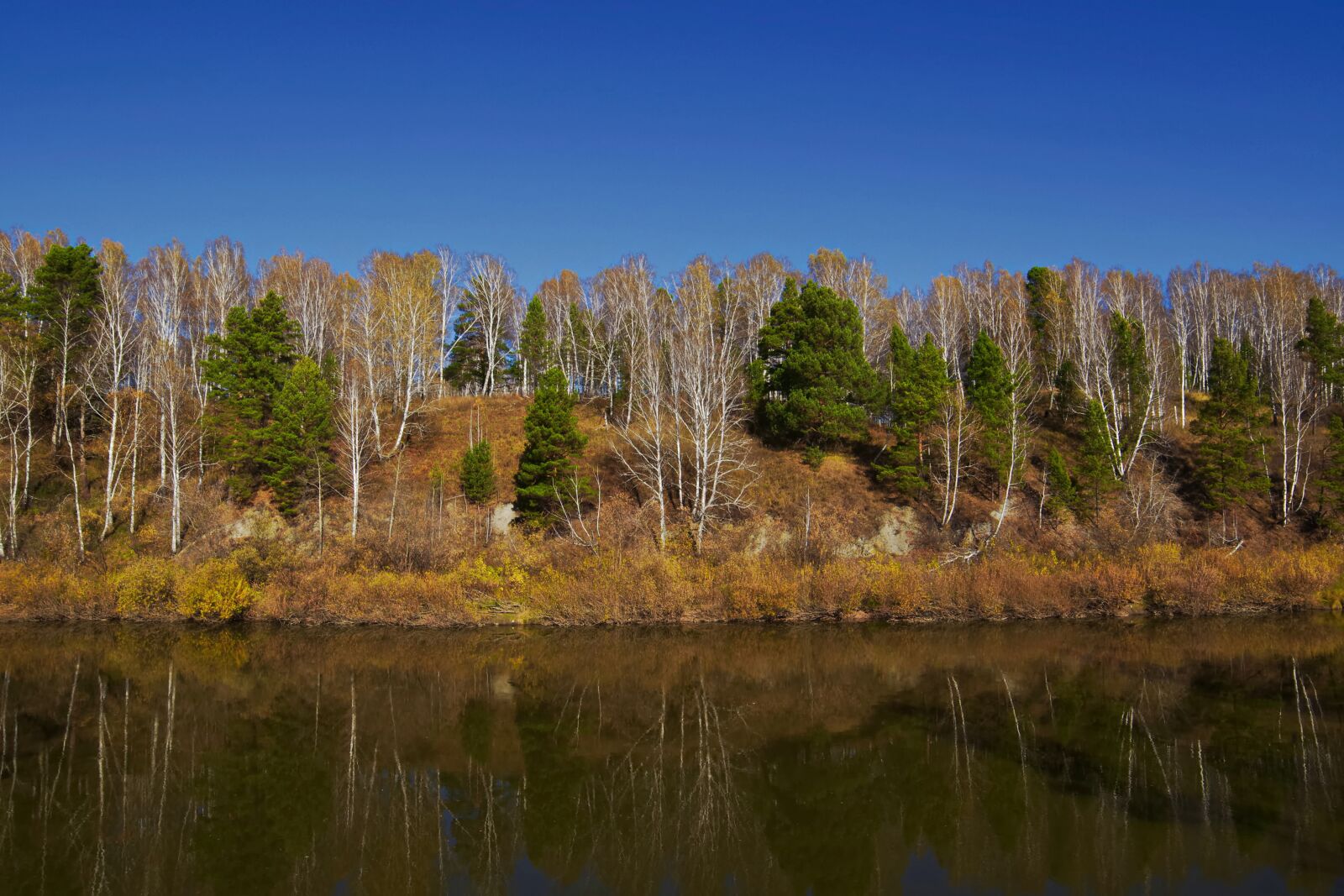 Pentax K-70 sample photo. River, forest, nature photography