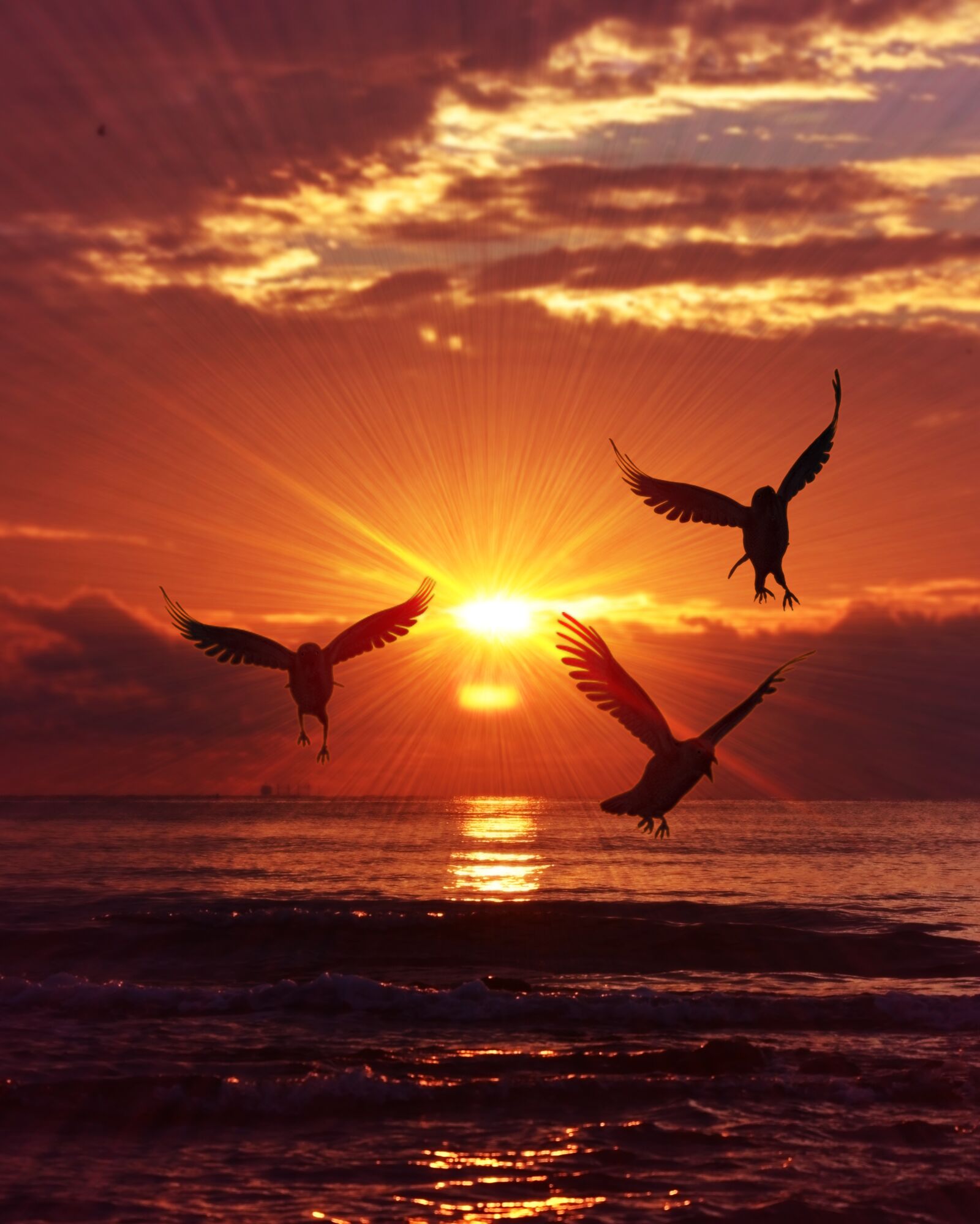 Nikon D7000 sample photo. Sunrise, birds, sea photography