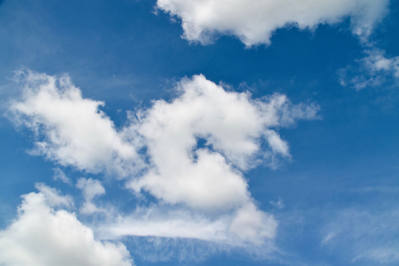 Nikon D5600 sample photo. Cloudy sky, blue sky photography