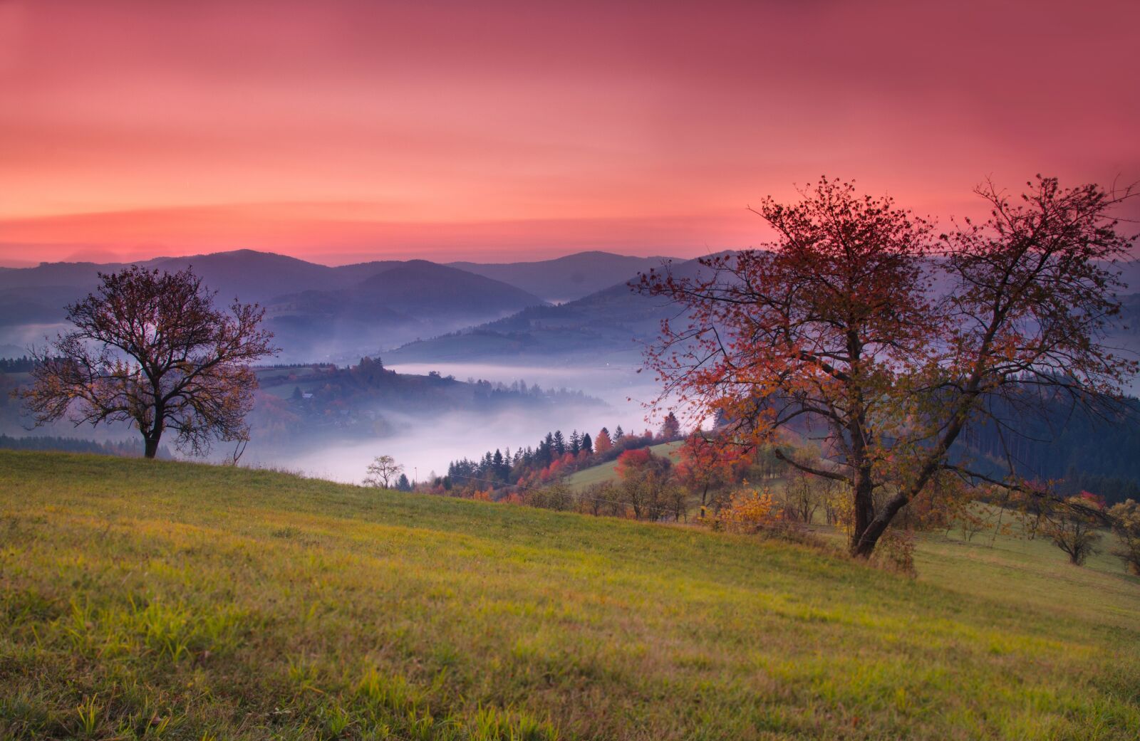 Nikon D5100 sample photo. Landscape, mountains, nature photography