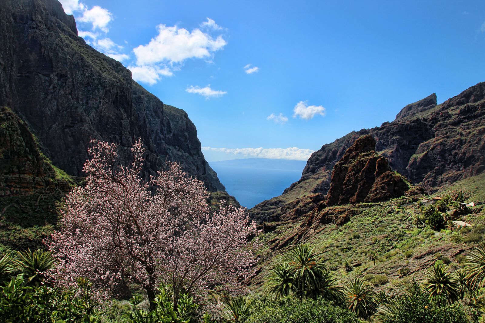 Canon EOS 1300D (EOS Rebel T6 / EOS Kiss X80) sample photo. Tenerife, masca, gorge photography