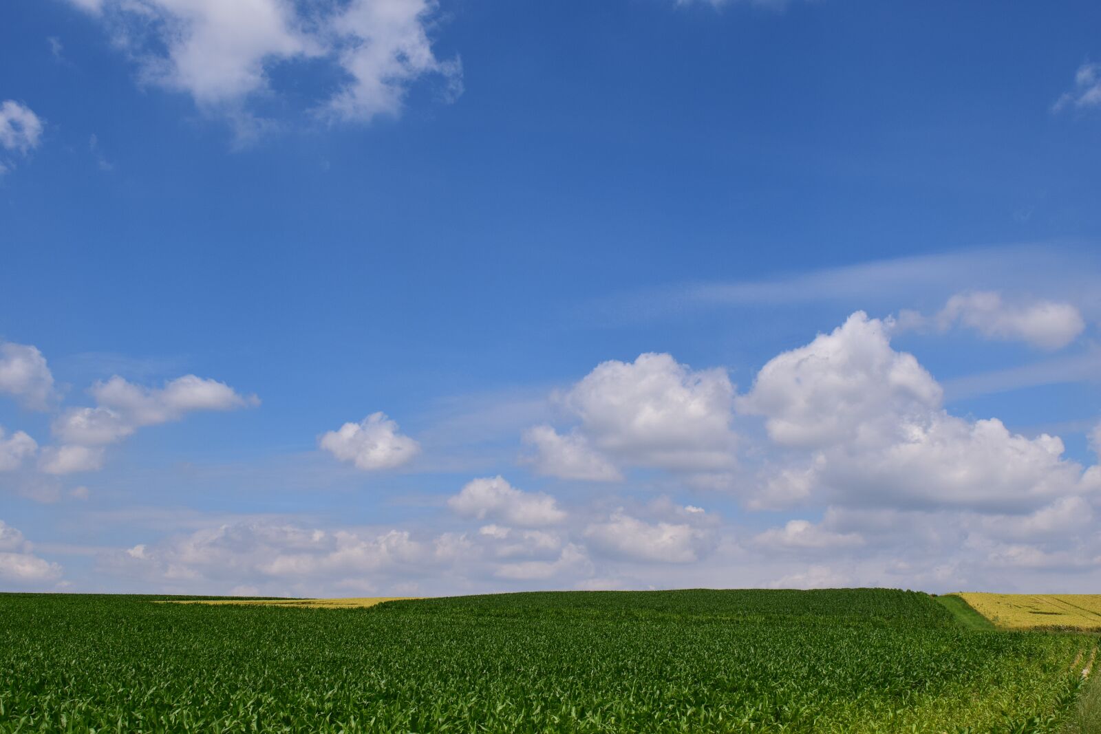 Nikon D3300 sample photo. Landscape, nature, fields photography