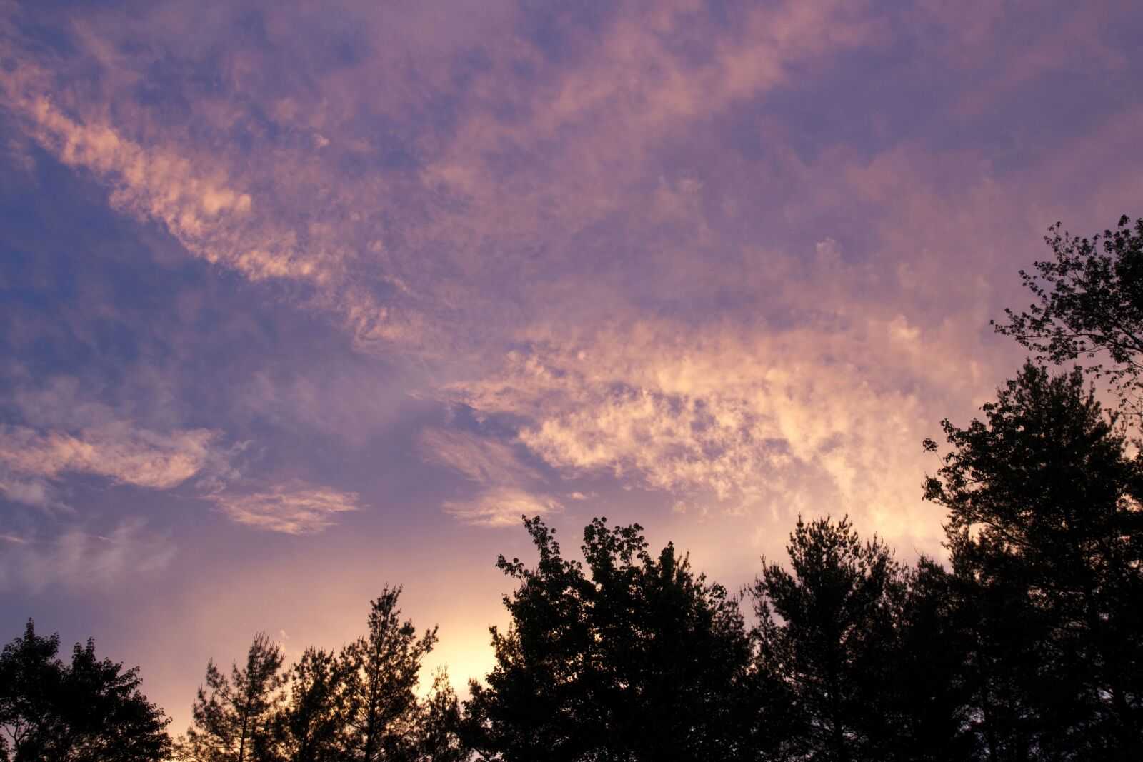 Canon EOS 550D (EOS Rebel T2i / EOS Kiss X4) sample photo. Purple sky, clouds, landscape photography