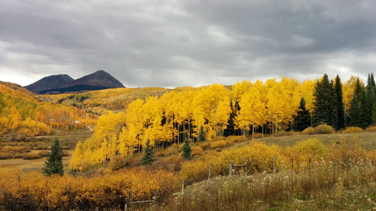 LG Nexus 5 sample photo. Aspen, trees, fall, mountains photography