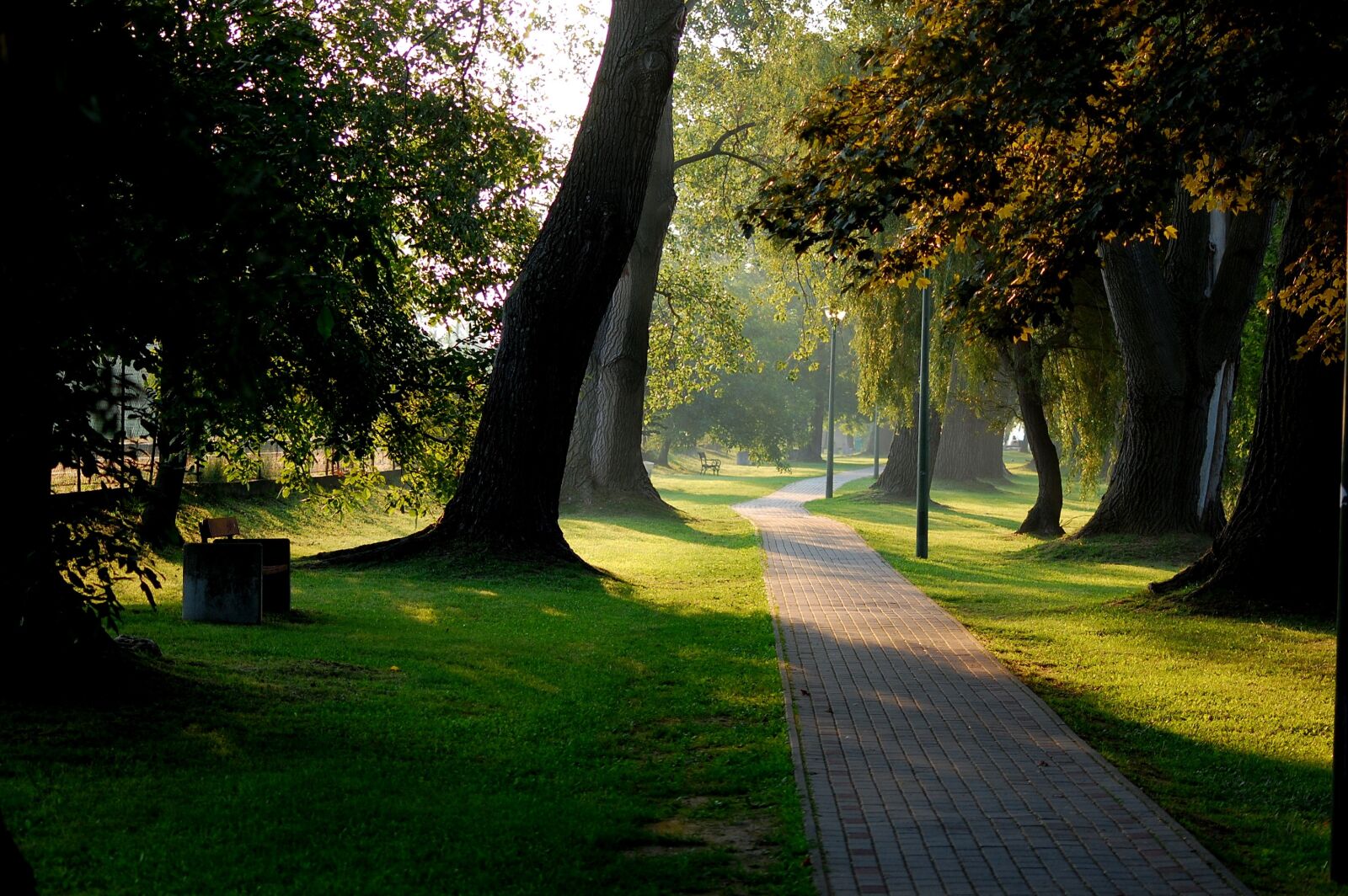 Nikon D40 sample photo. Park, forest, nature photography