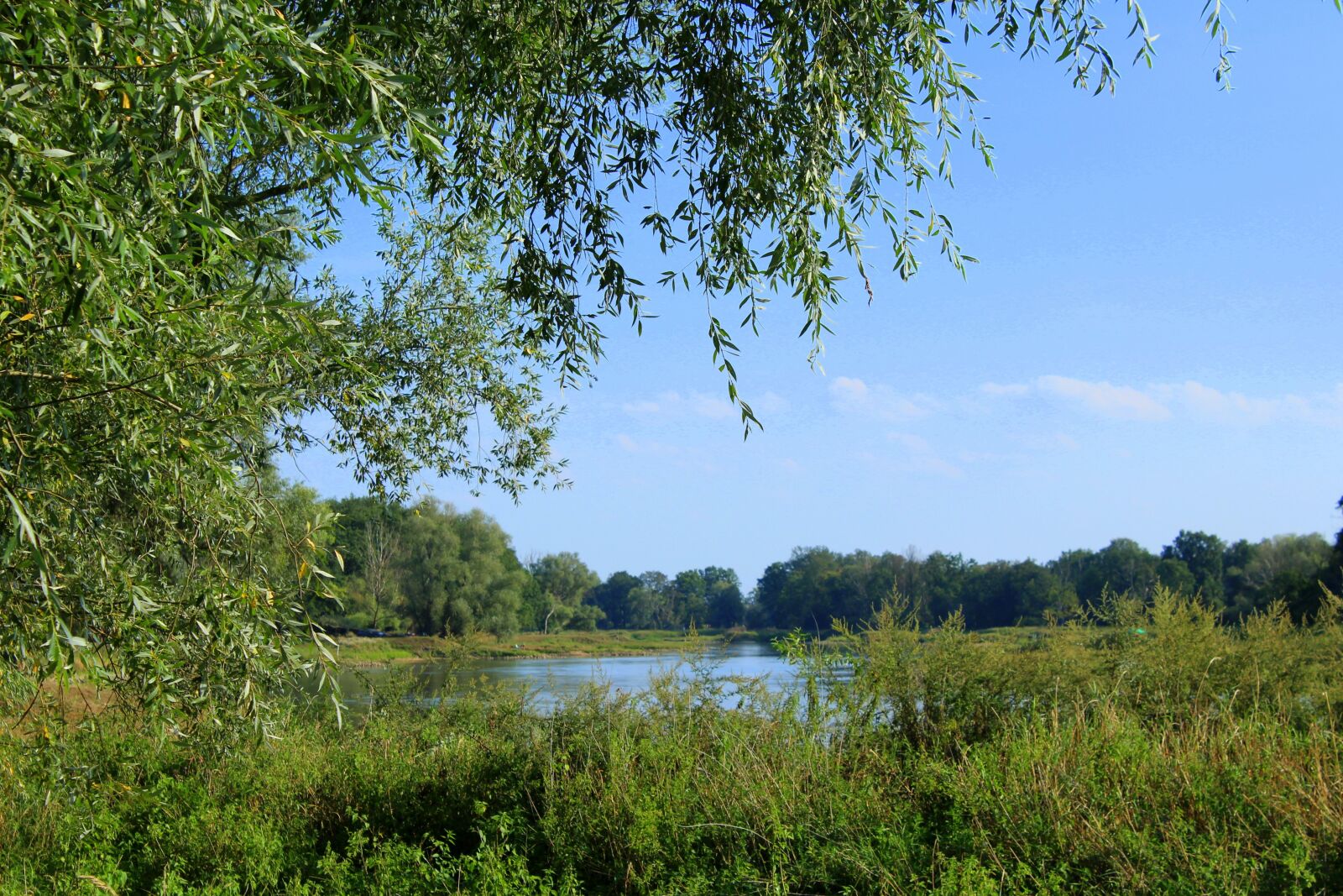 Canon EOS 1200D (EOS Rebel T5 / EOS Kiss X70 / EOS Hi) sample photo. Landscape, green, river photography