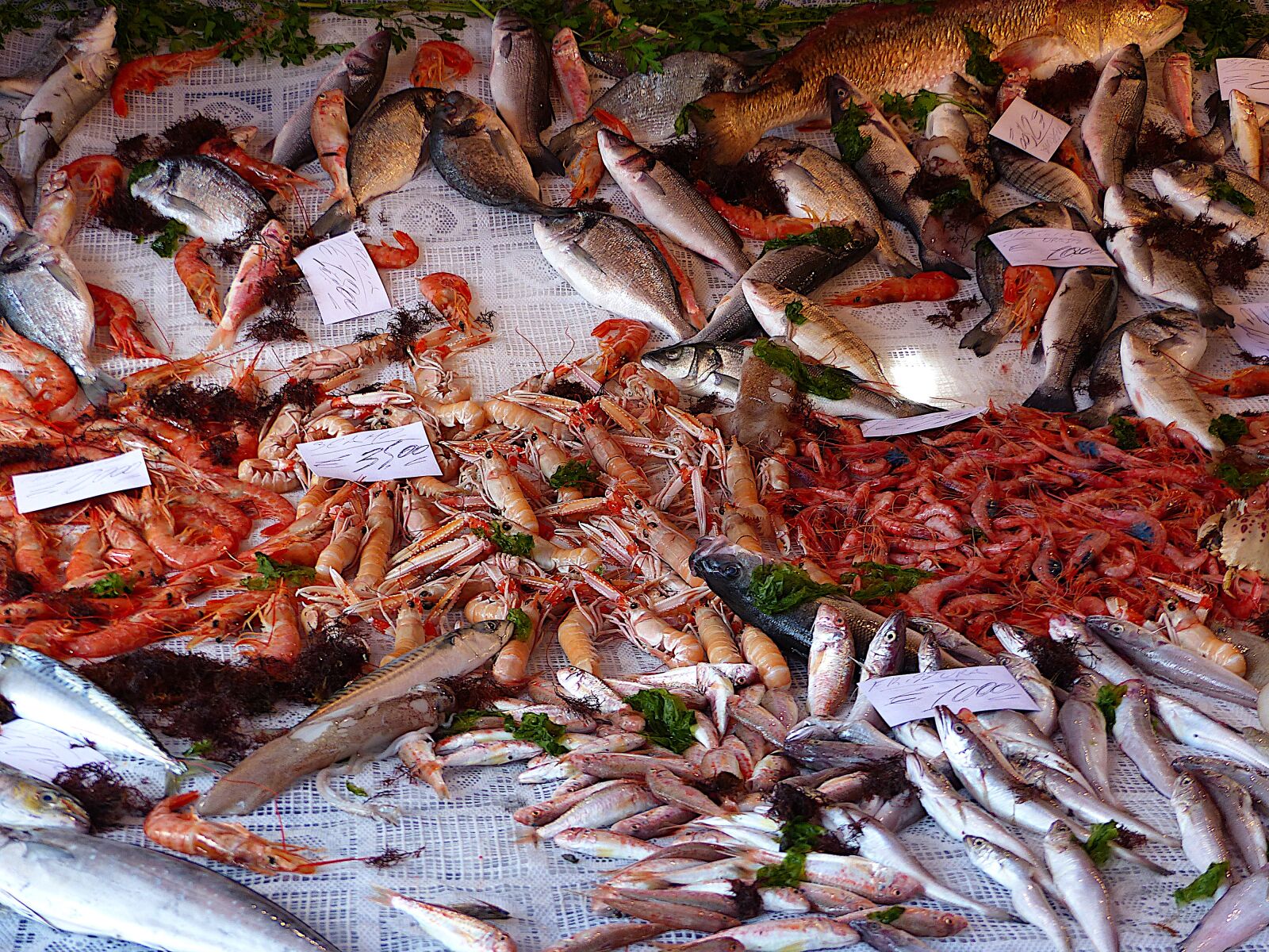 Panasonic Lumix DMC-FZ200 sample photo. Fish, market, sicily photography