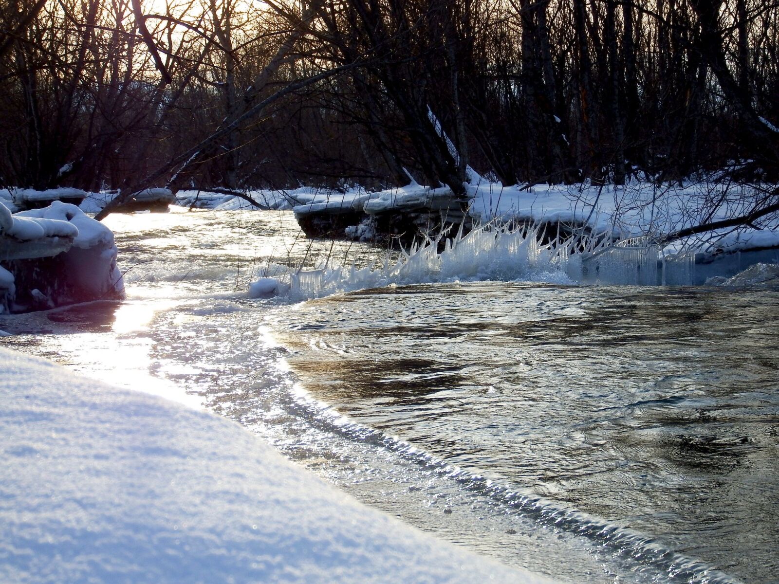 Fujifilm FinePix S1 sample photo. Winter, snow, frost photography